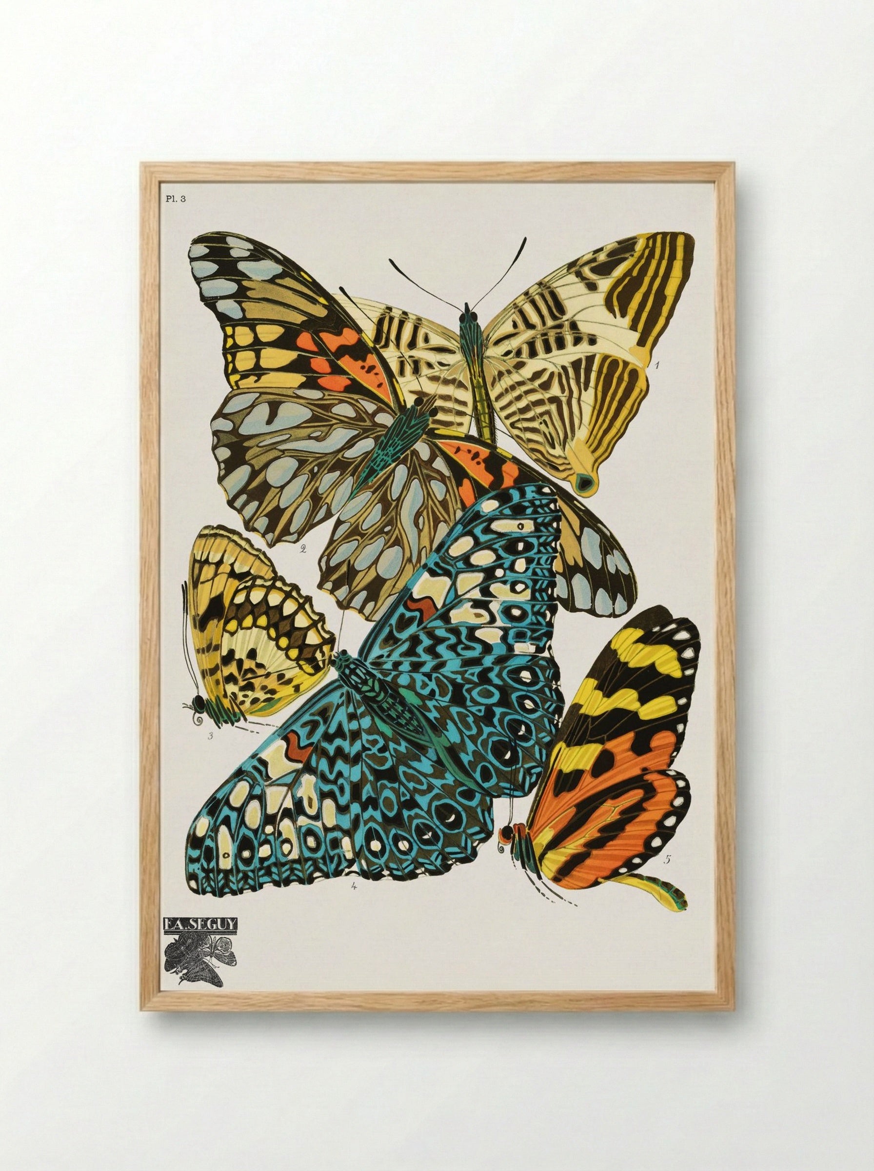 Butterflies, Plate 3 - Émile-Allain Séguy - Framed Print Wood