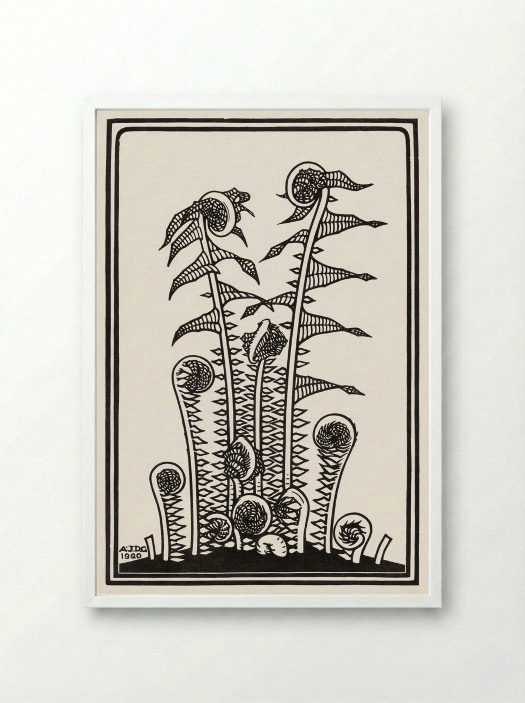 Ferns - Julie de Graag - Framed Print White