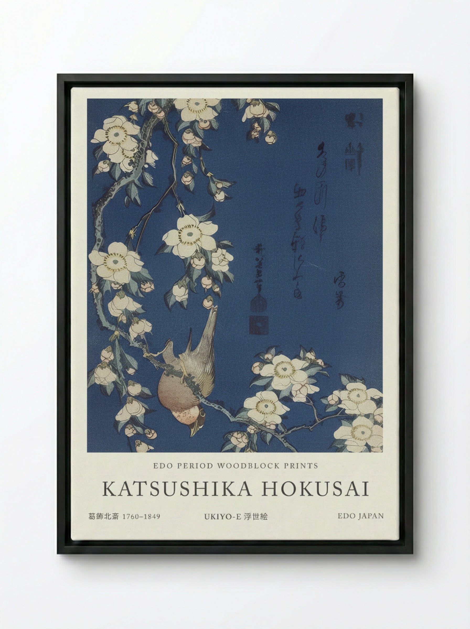 Bullfinch and Weeping Cherry Blossoms – Fine Art Print