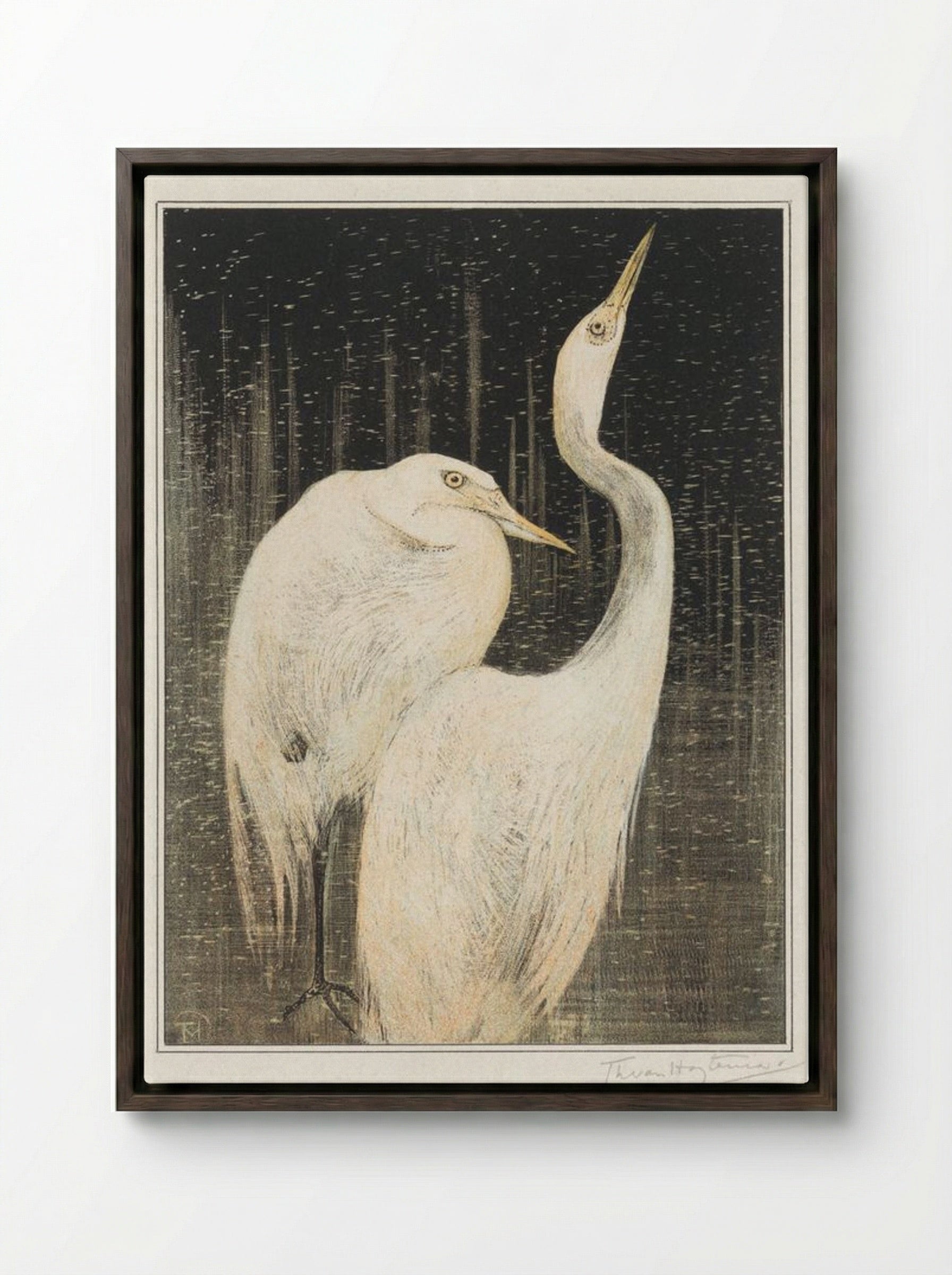 Two Egrets - Theo van Hoytema - Framed Canvas Dark Wood