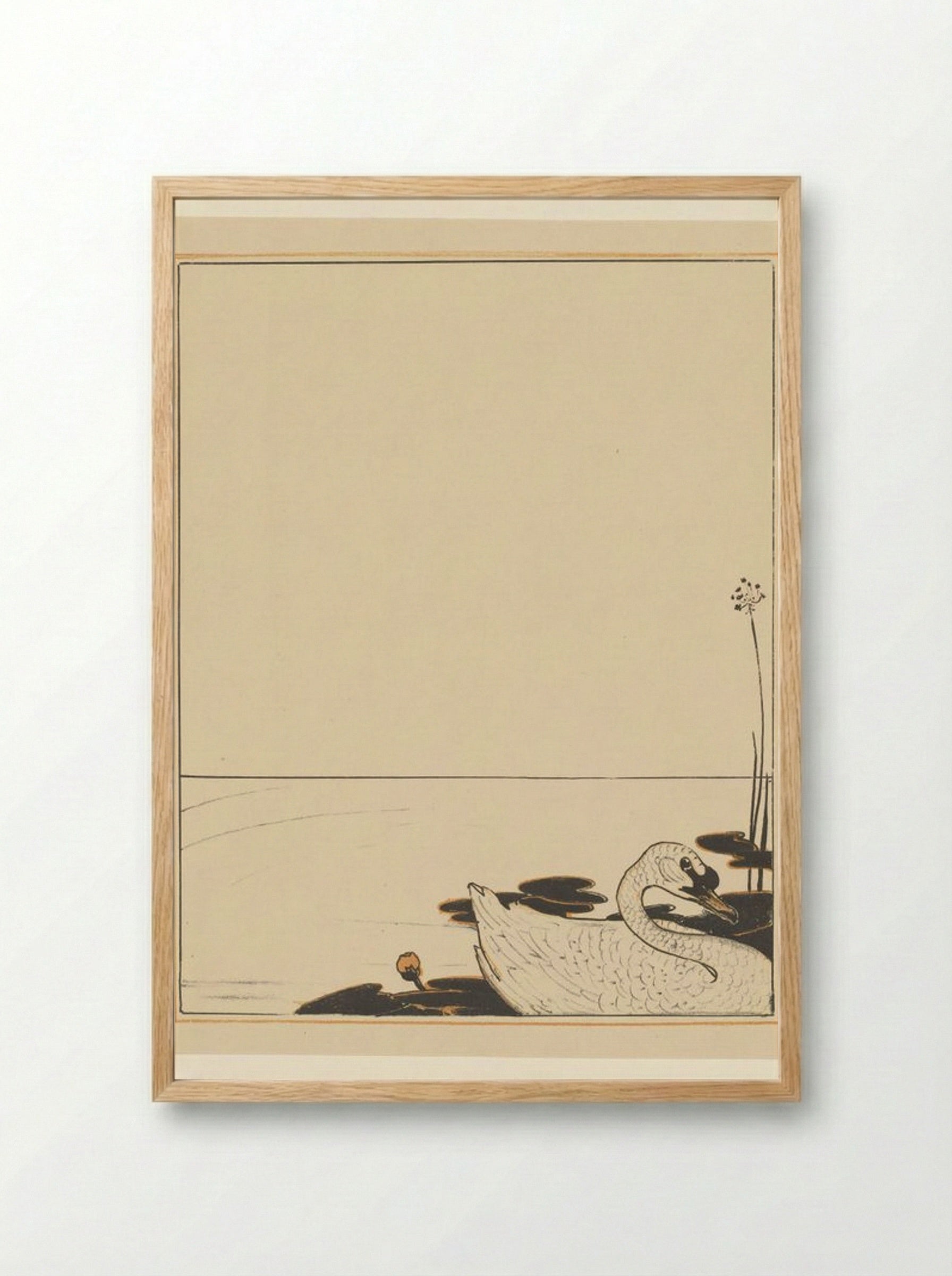 Swimming Swan - Theo van Hoytema - Framed Print Wood