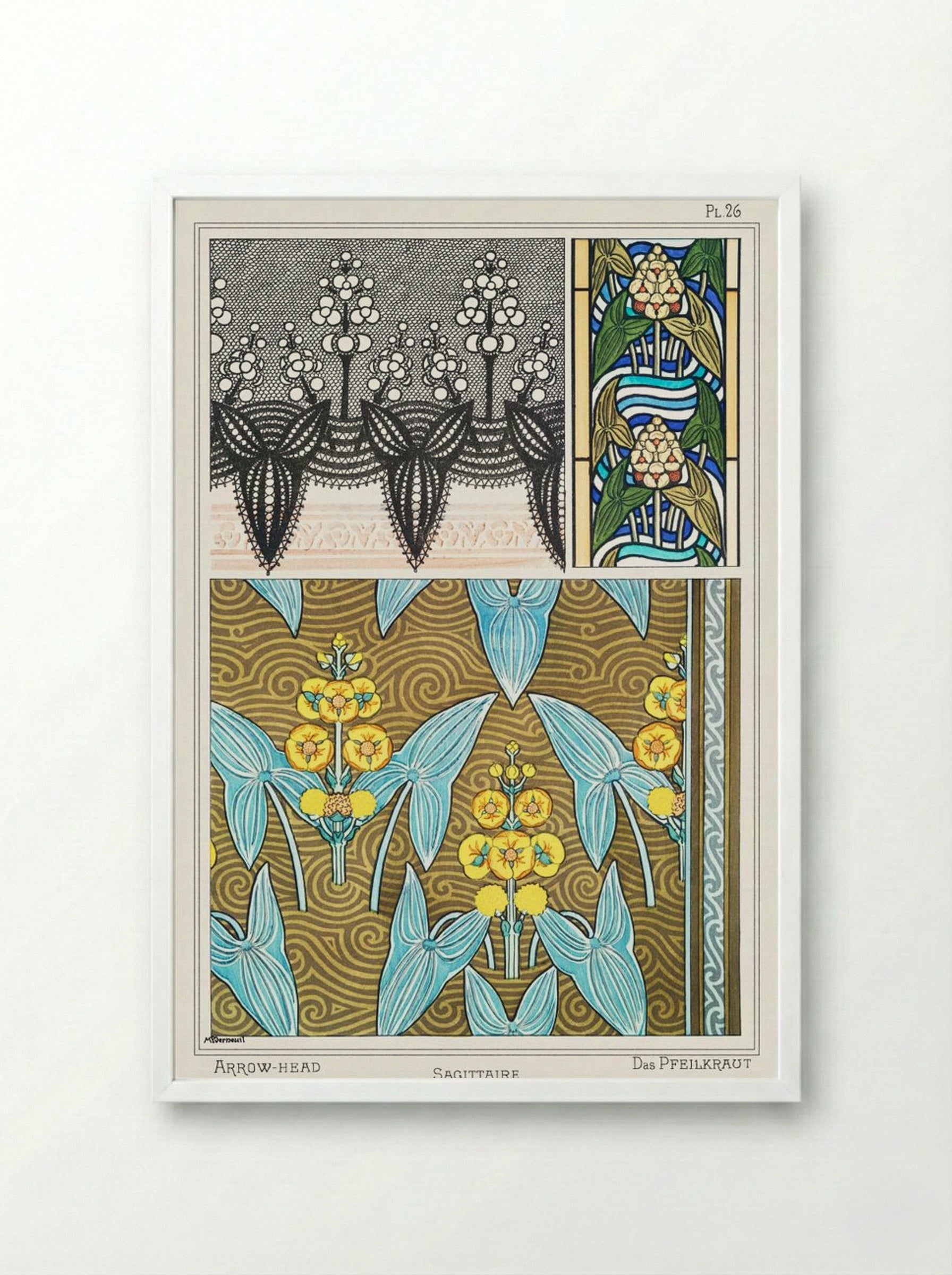 Sagittaire (Arrowhead) from La Plante et ses Applications ornementales - Maurice Pillard Verneuil - Framed Print White