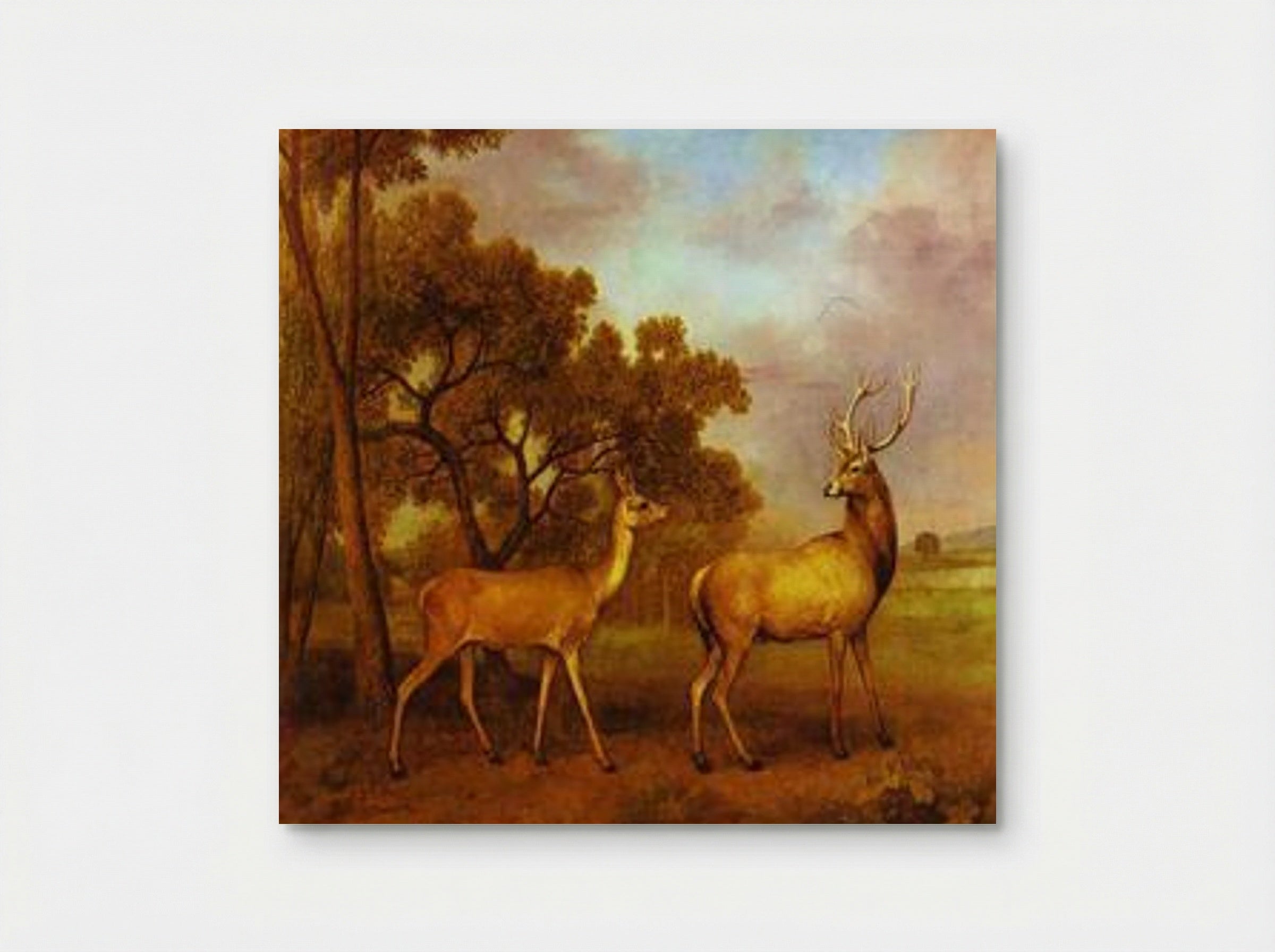 Red Deer Stag and Hind - George Stubbs - Poster