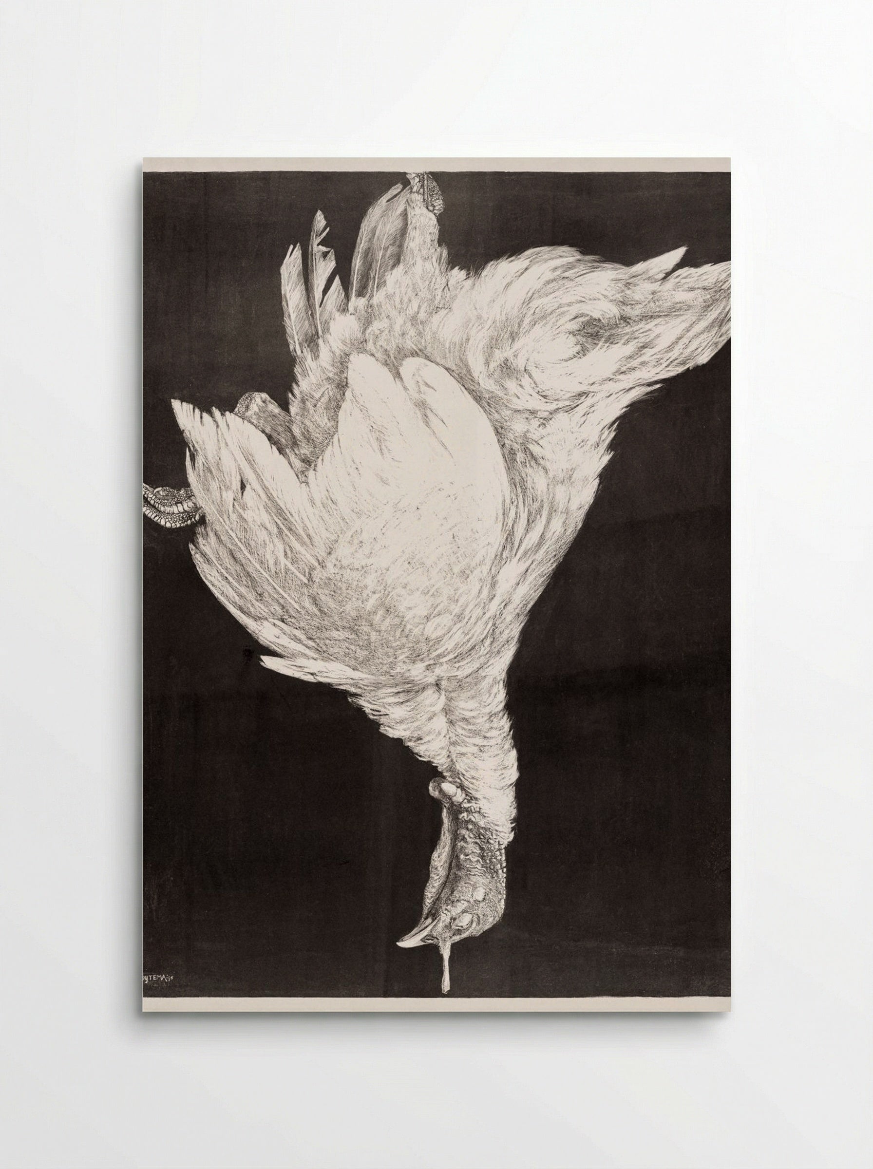 Dead Turkey - Theo van Hoytema - Poster