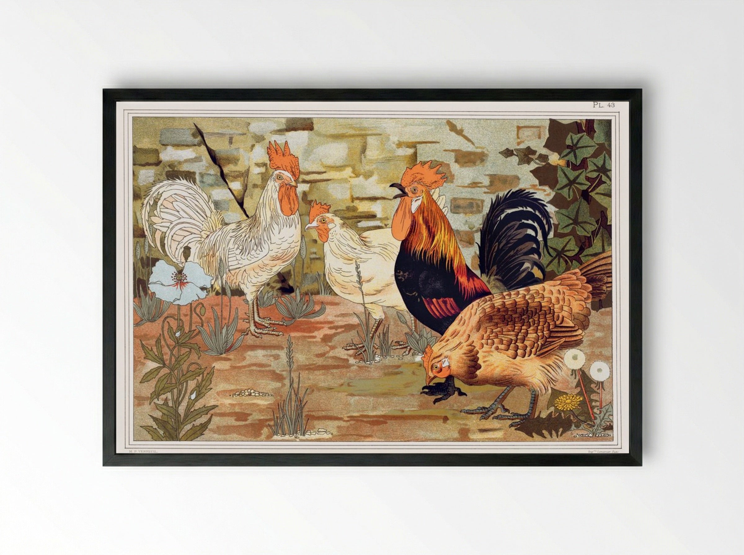Coqs et Poules (From L'animal dans la décoration) - Maurice Pillard Verneuil - Framed Print Black