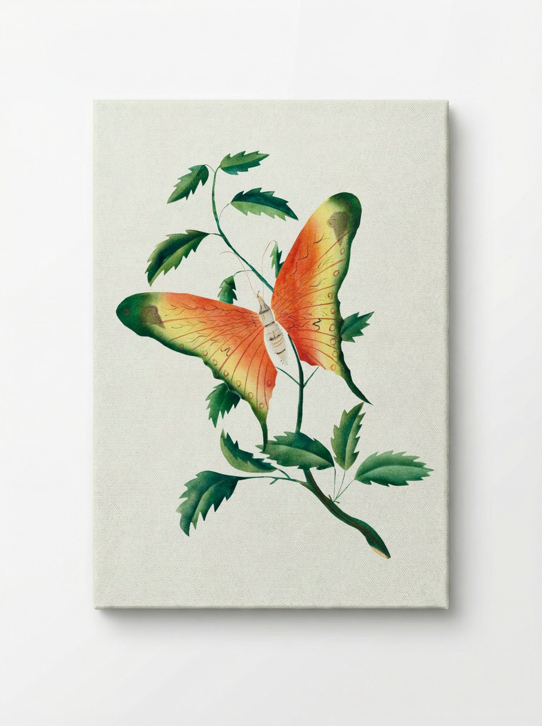 Rose Bush and Butterfly - Mary Altha Nims - Canvas