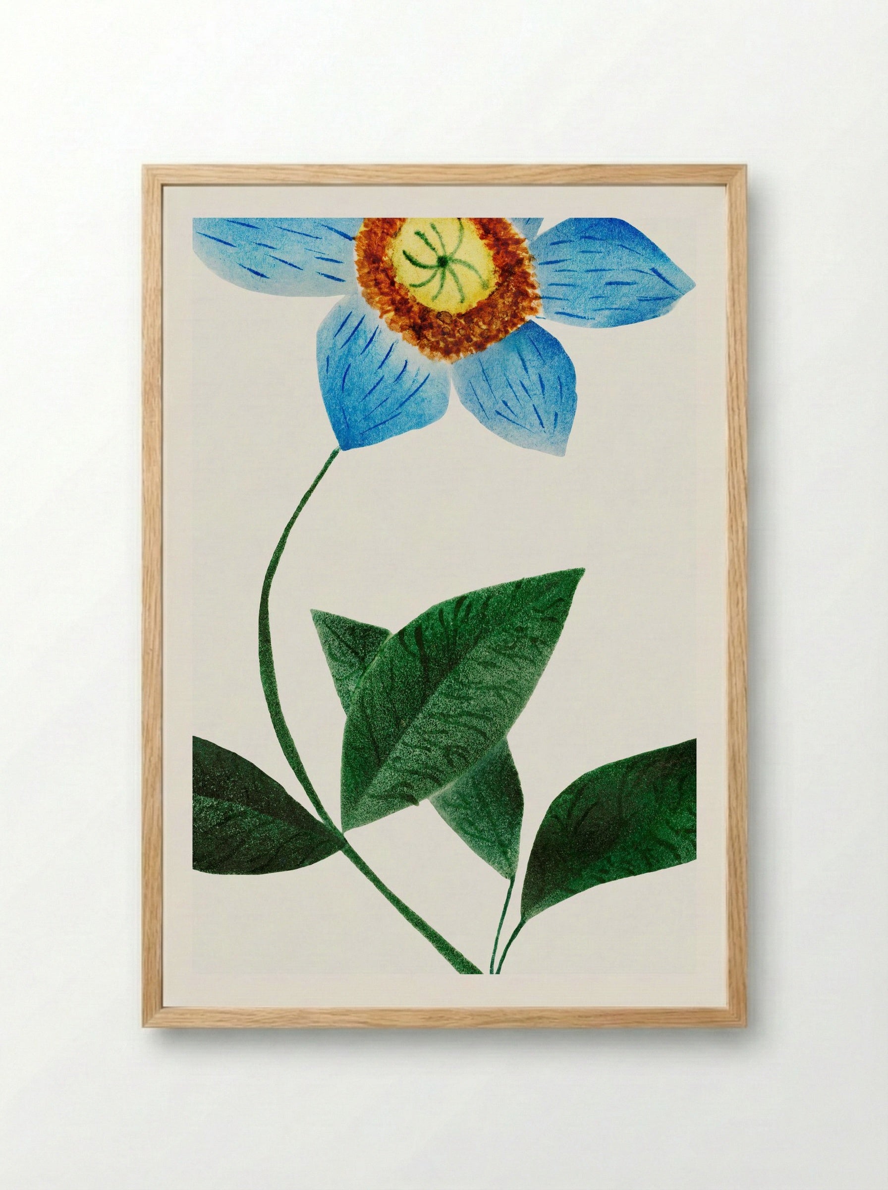 Star Flower - Mary Altha Nims - Framed Print Wood