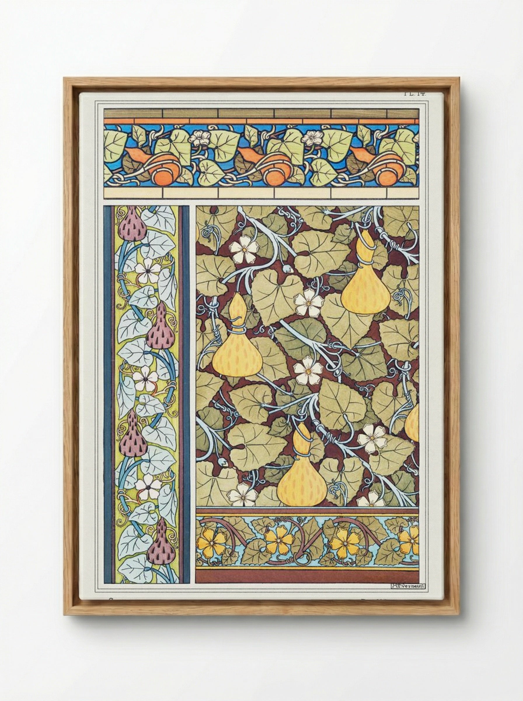 Courge (White-Flowered Gourd, from La Plante et ses Applications ornementales) - Maurice Pillard Verneuil - Framed Canvas Wood