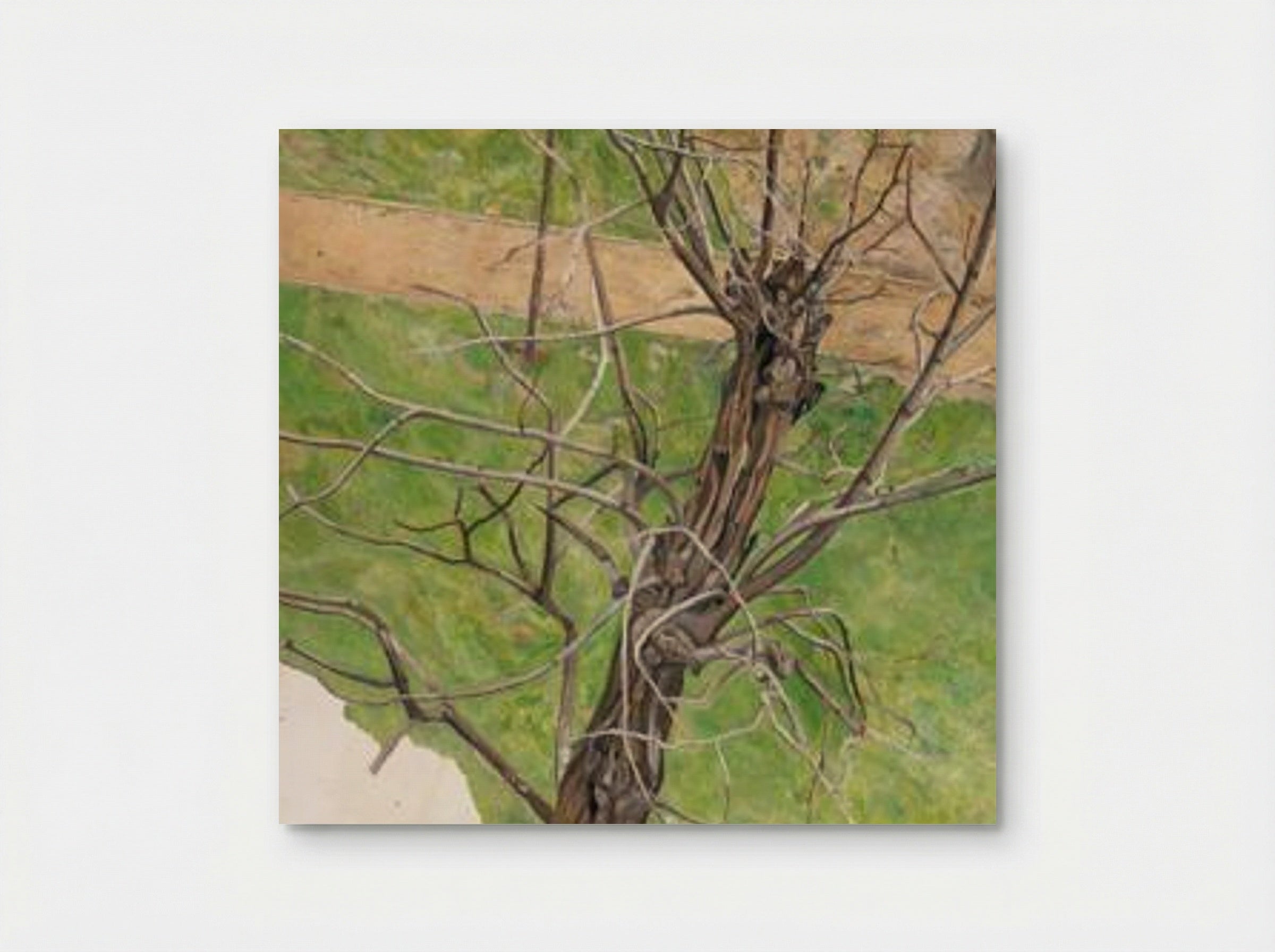 Acacia - Lucian Freud - Poster