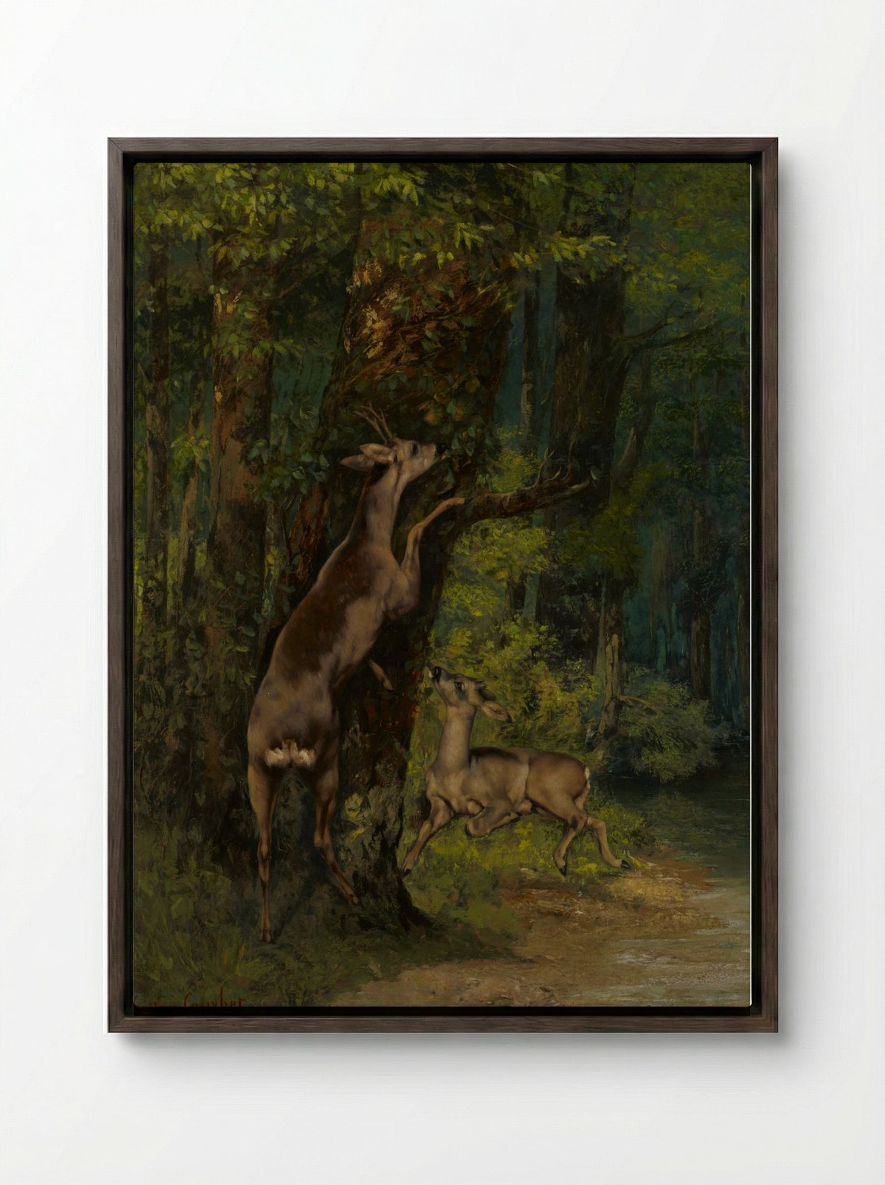 Deer in the Forest - Gustave Courbet - Framed Canvas Dark Wood