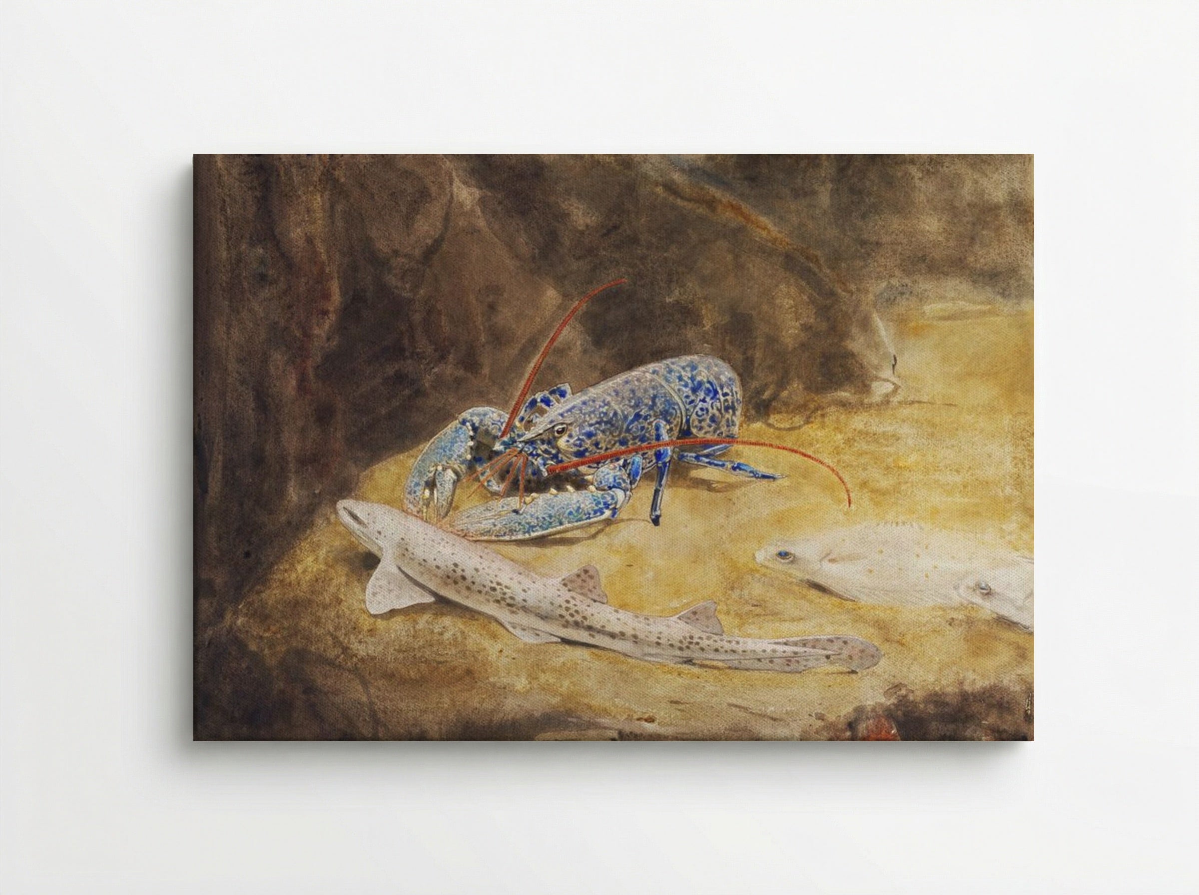 Aquarium with Three North Sea Fish, Lobster, Dogfish and Plaice - Gerrit Willem Dijsselhof - Canvas