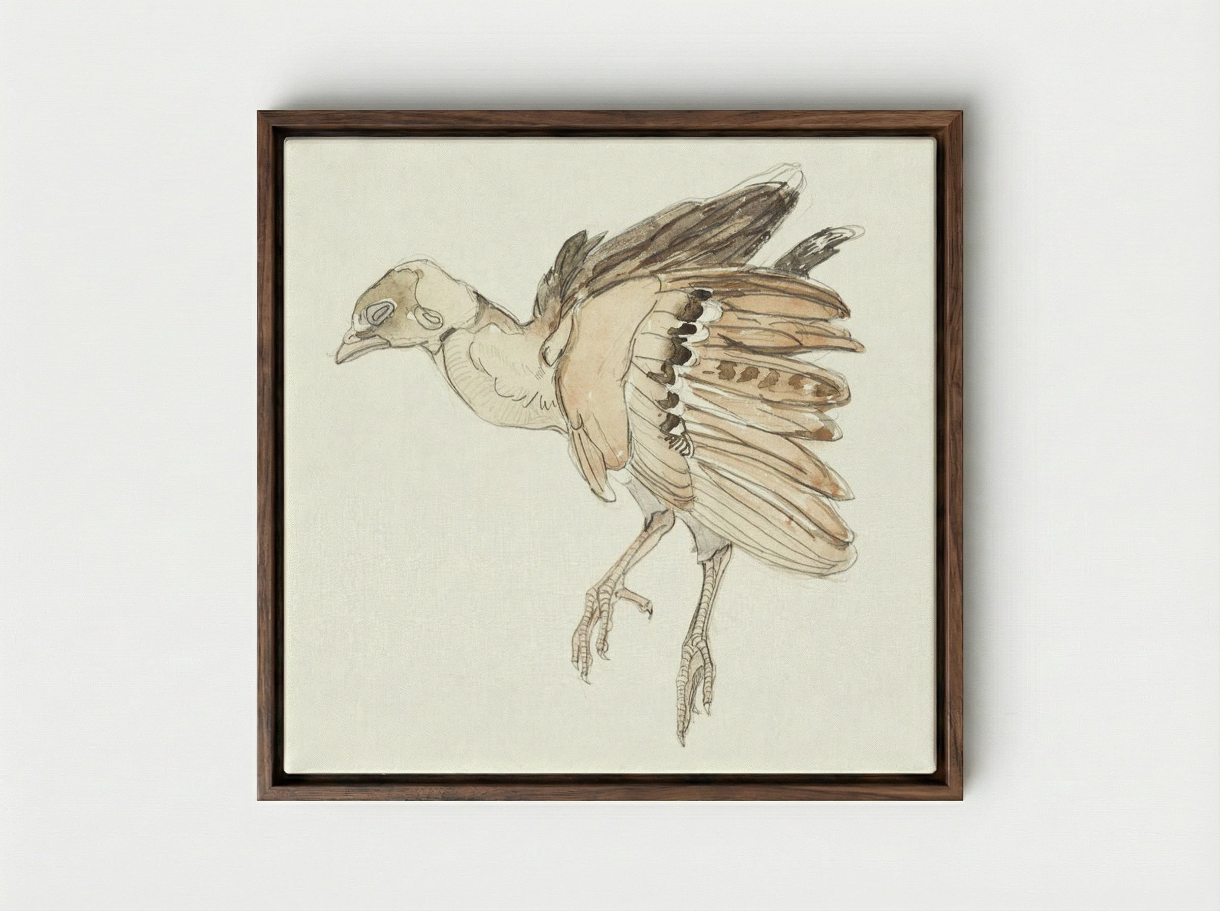 Dood vogeltje (Patrijs) - Theo van Hoytema - Framed Canvas Dark Wood