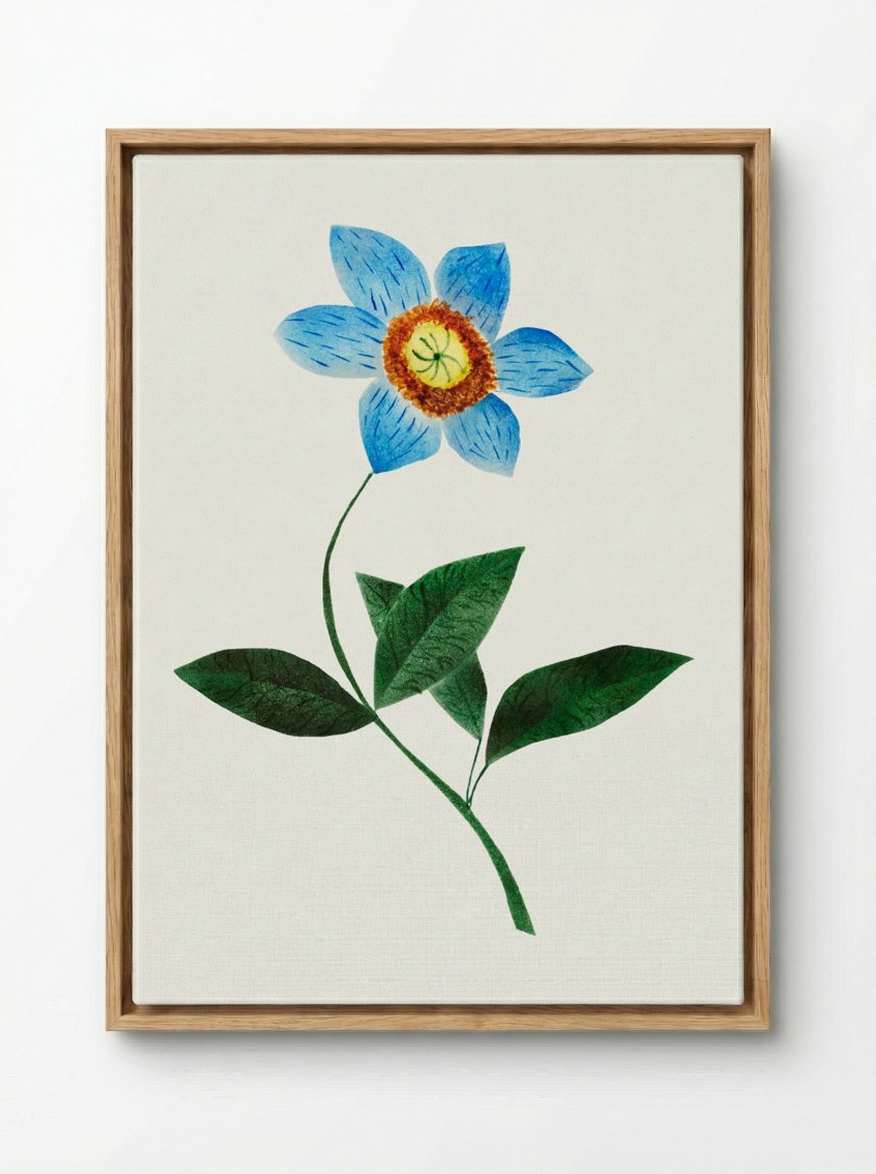 Star Flower - Mary Altha Nims - Framed Canvas Wood