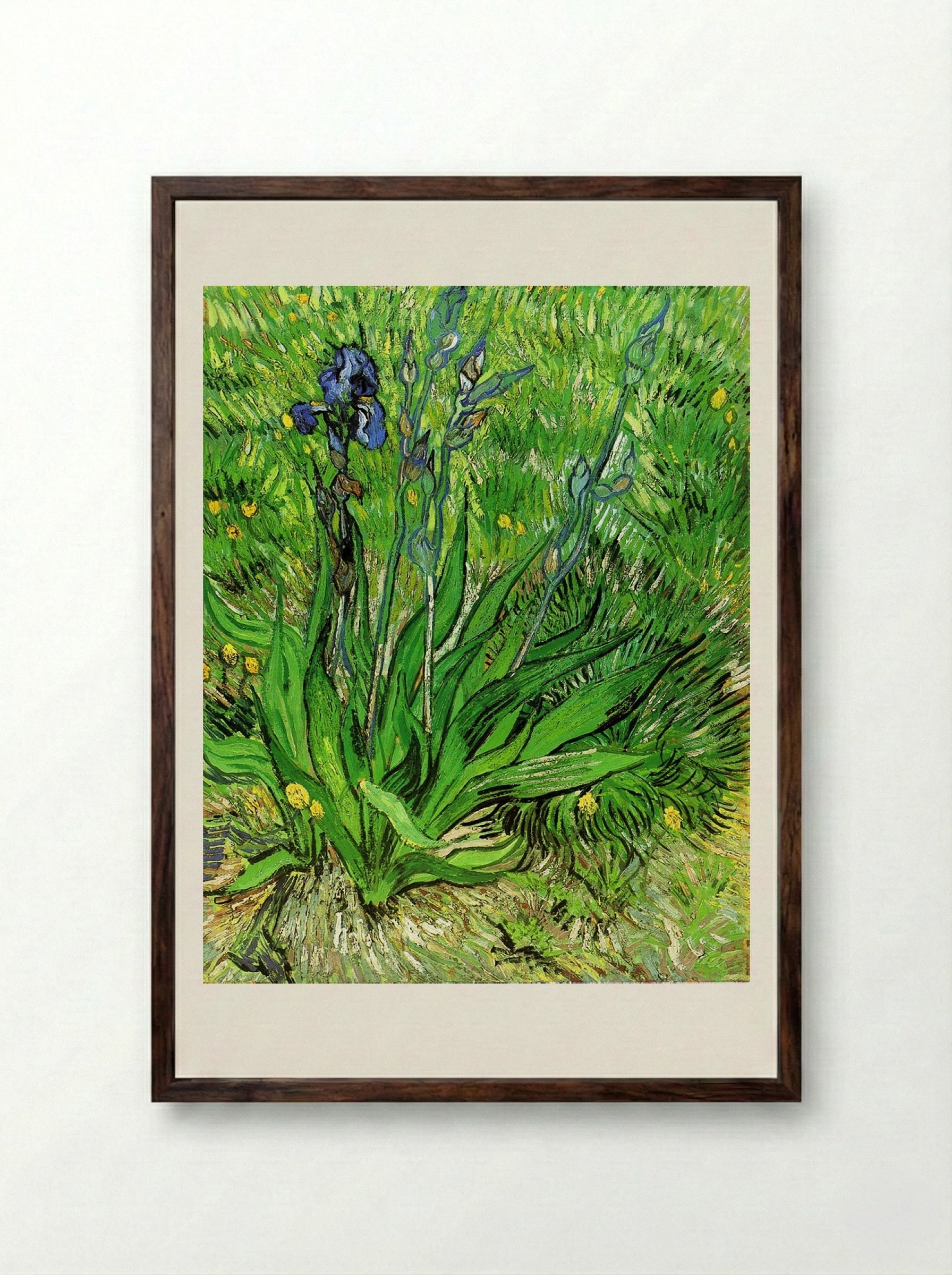 Irises - Vincent van Gogh - Framed Print Dark Wood