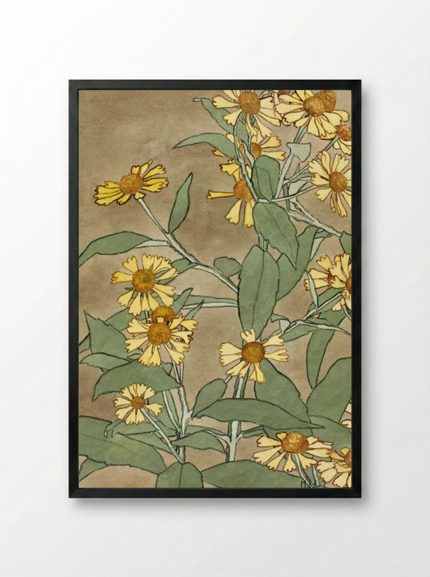 Daisies with Orange Center and Yellow Petals - Hannah Borger Overbeck - Framed Print Black