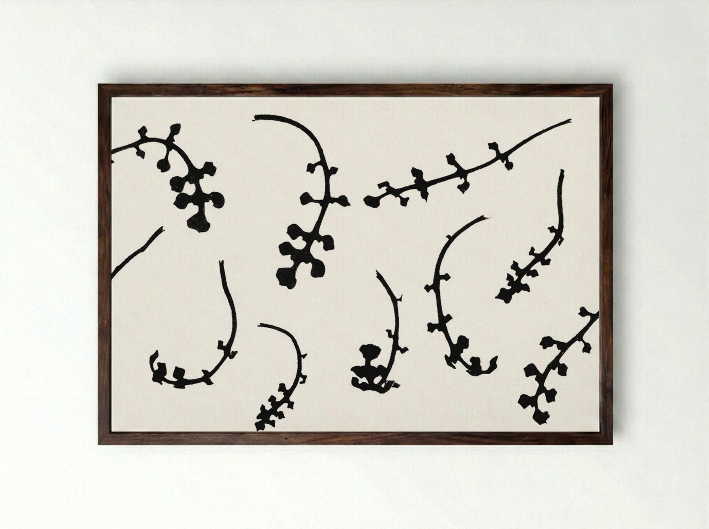 Root Rosettes of the Pentecostal Flower - Julie de Graag - Framed Print Dark Wood