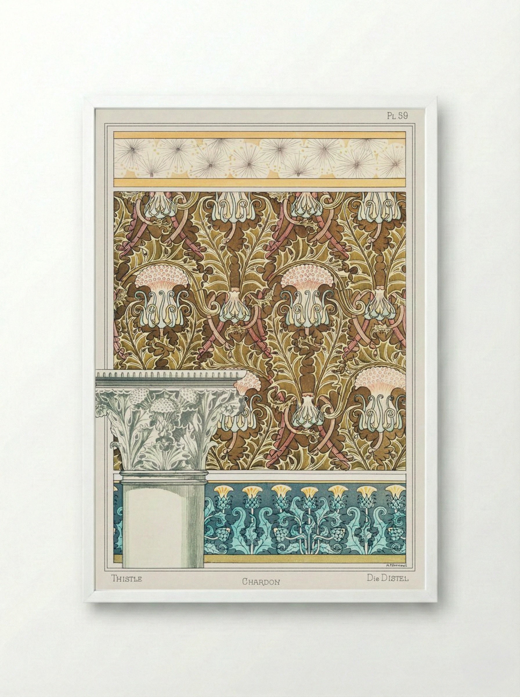 Chardon (Thistle) from La Plante et ses Applications ornementales - Maurice Pillard Verneuil - Framed Print White