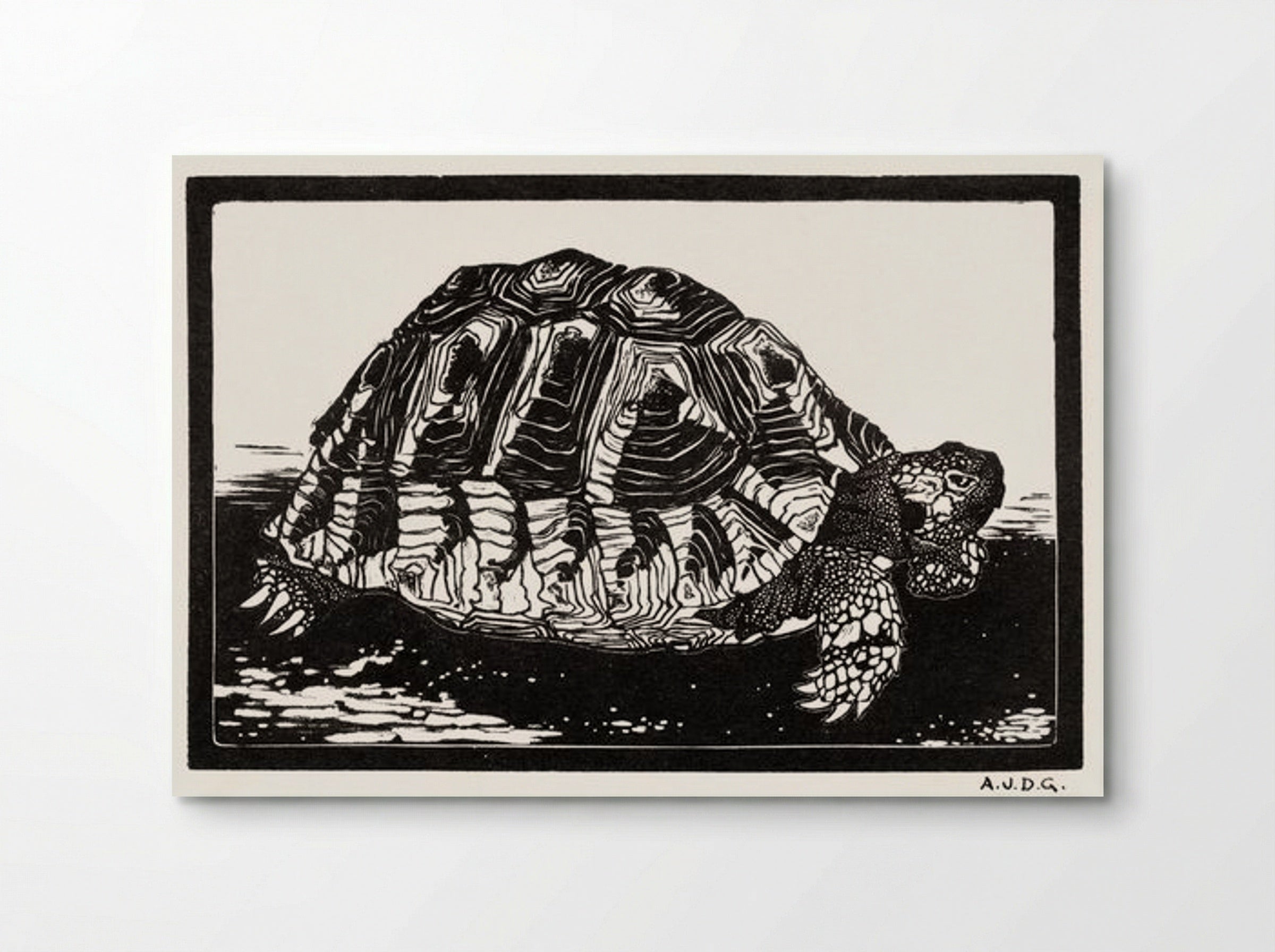 Turtle - Julie de Graag - Poster