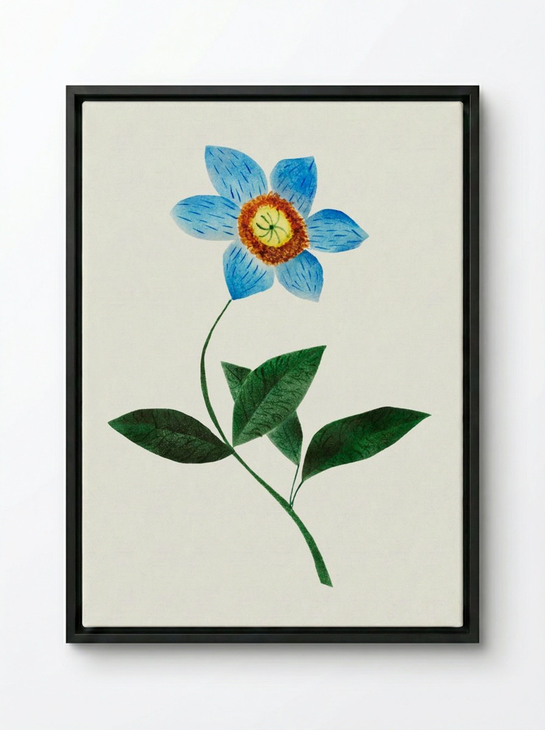 Star Flower - Mary Altha Nims - Framed Canvas Black