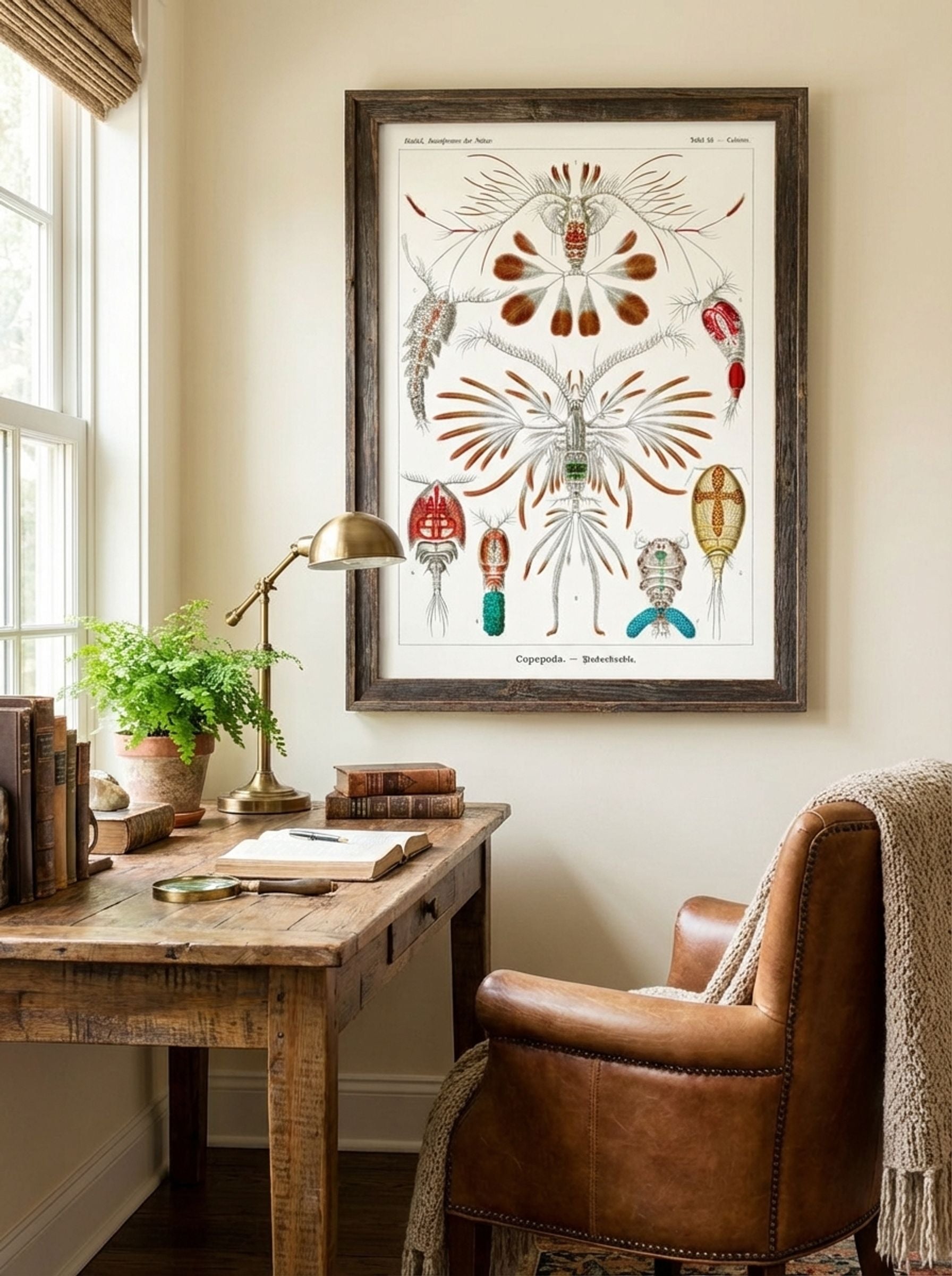 Copepoda-Ruderkrebse (1904) - Ernst Haeckel - Lifestyle