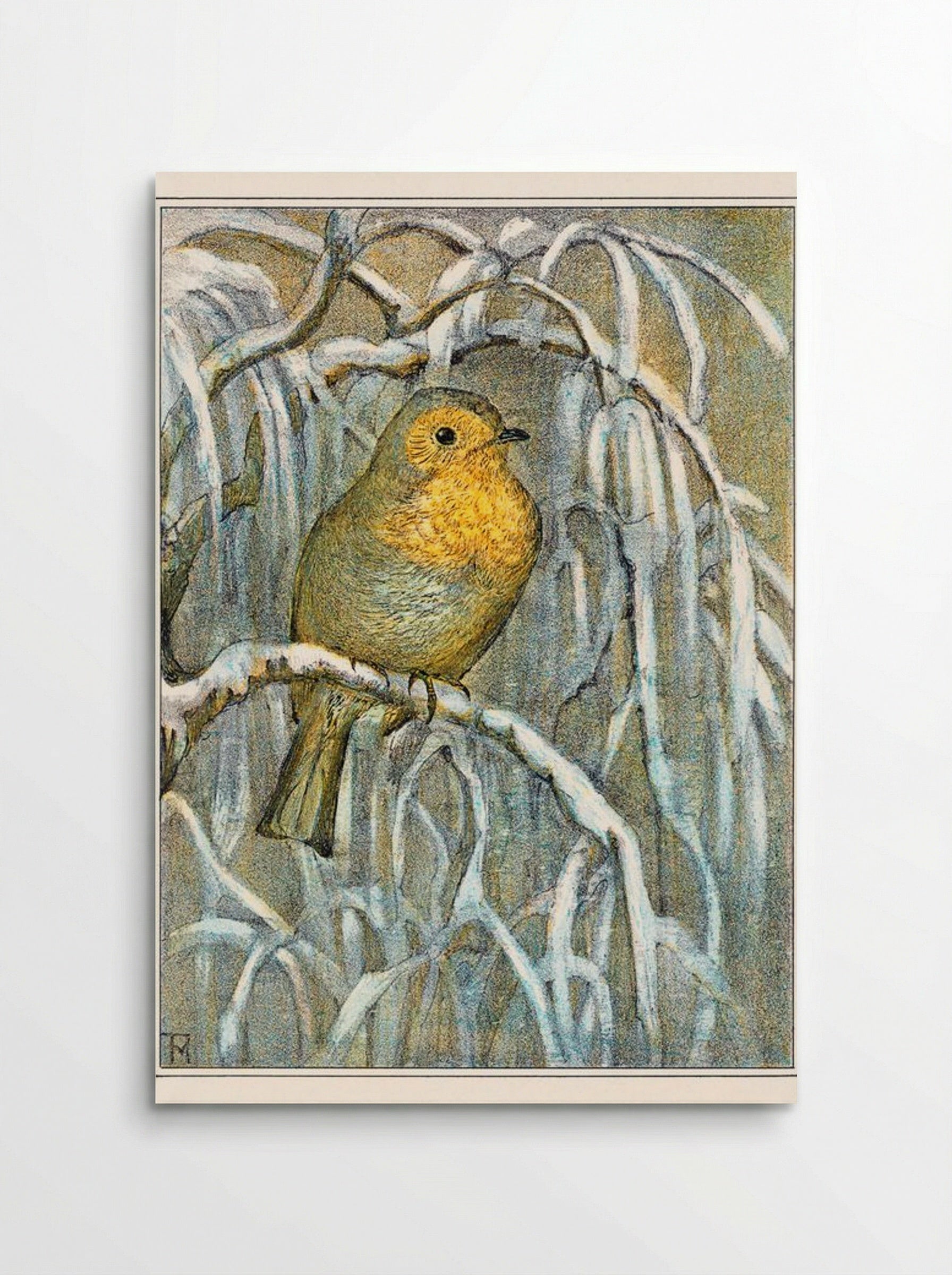 Robin on Snowy Branch - Theo van Hoytema - Poster