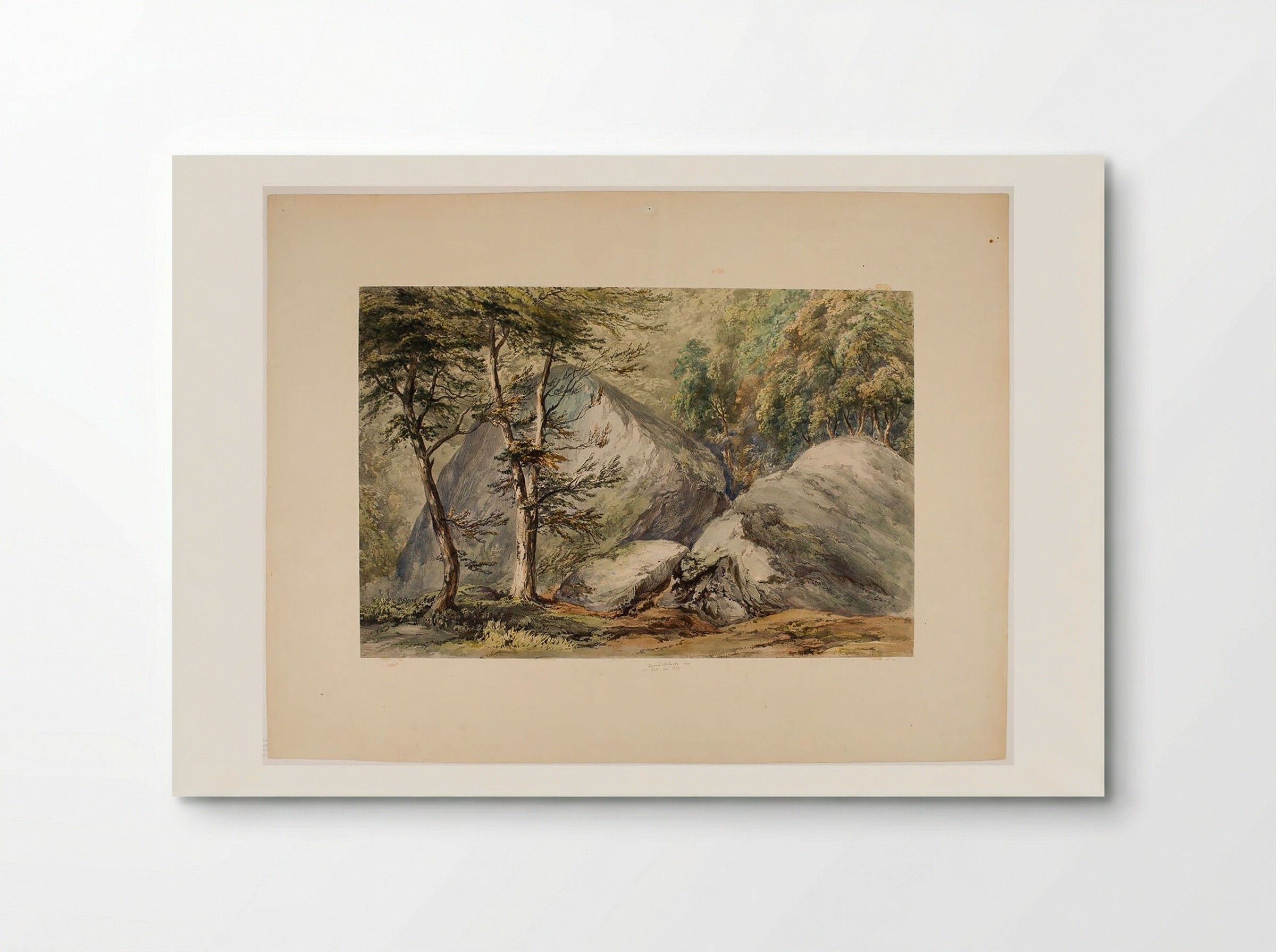 Study of Rocks and Trees - David Roberts - Poster