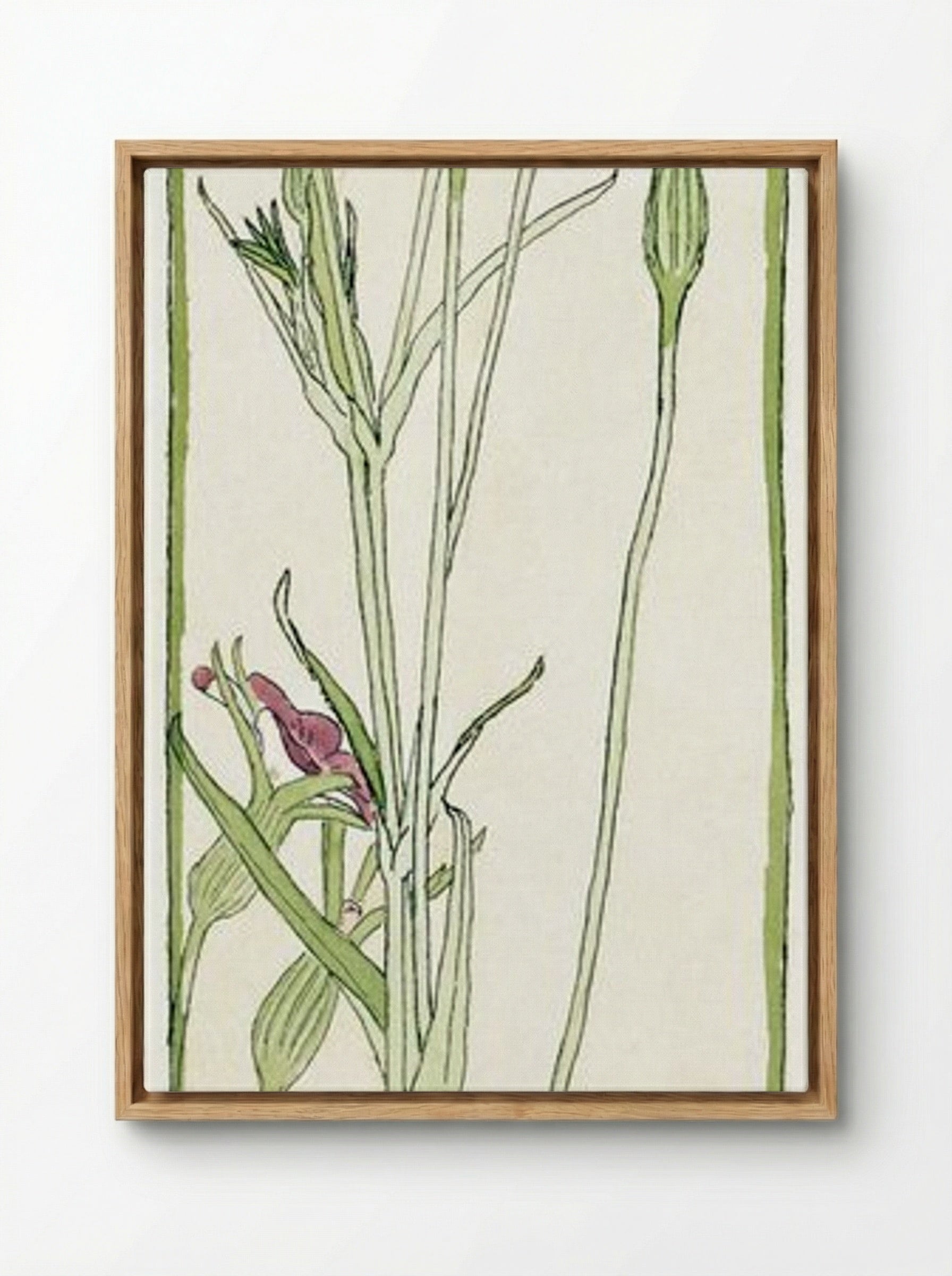 Corn Cockle - Hannah Borger Overbeck - Framed Canvas Wood