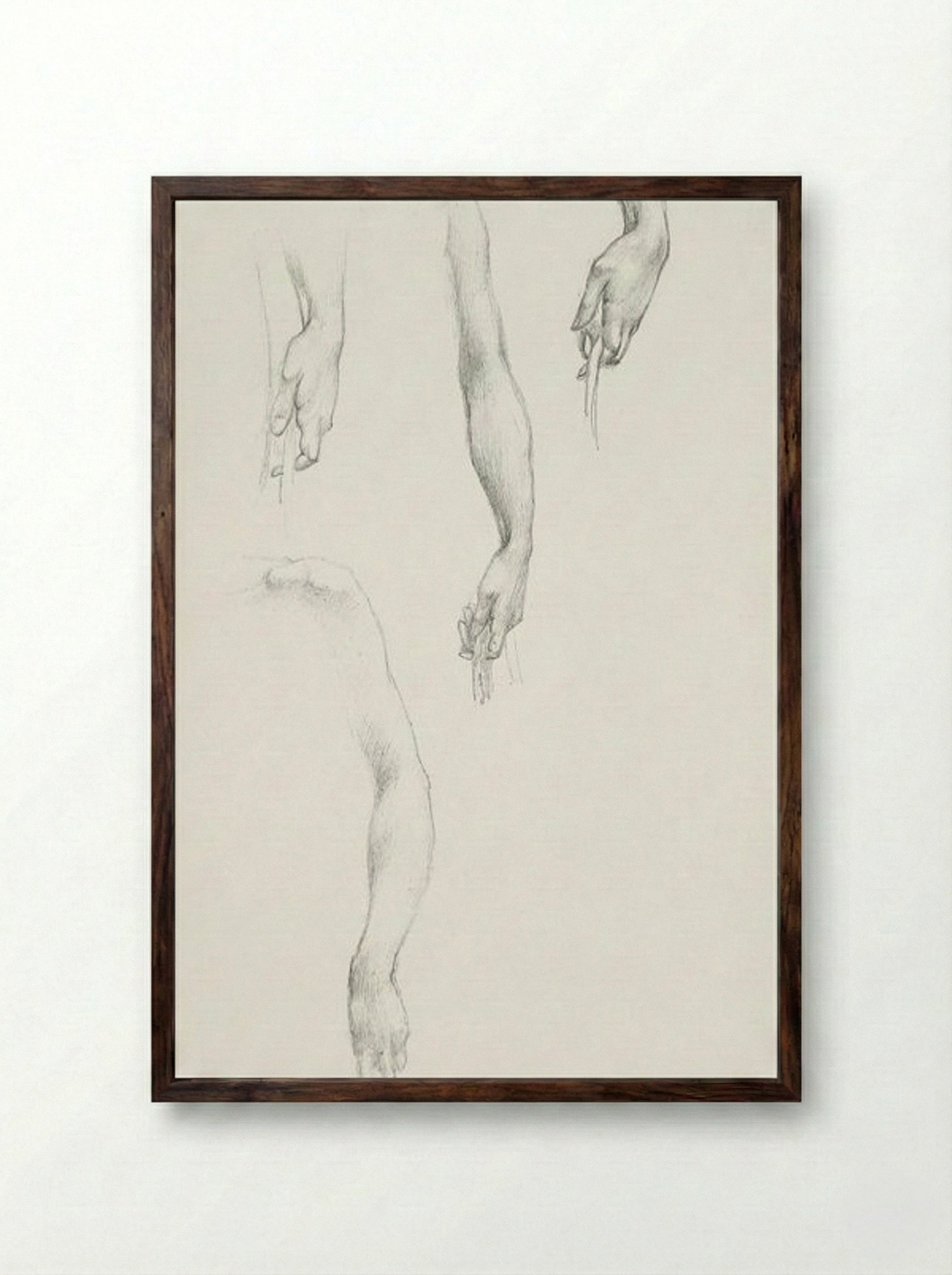 Studies of Arms and Hands - Edward Burne-Jones - Framed Print Dark Wood