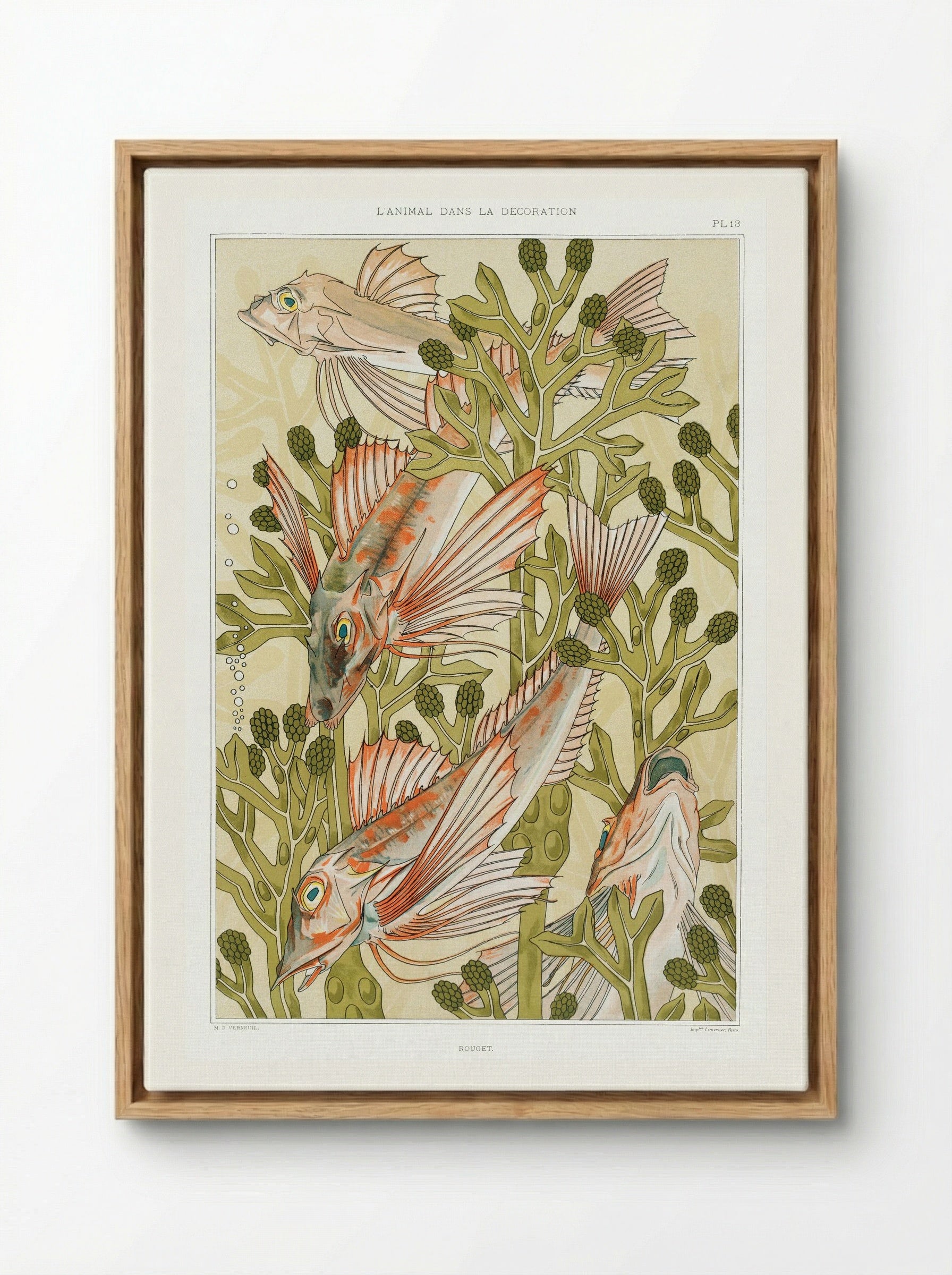 Rouget (From L'animal dans la décoration) - Maurice Pillard Verneuil - Framed Canvas Wood