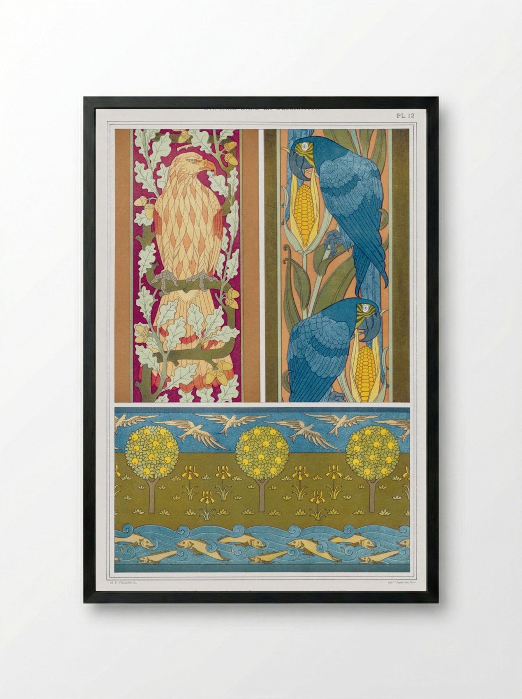 L'Animal dans la Décoration, Plate 12 (Eagle, Macaws, Fish and Birds) - Maurice Pillard Verneuil - Framed Print Black