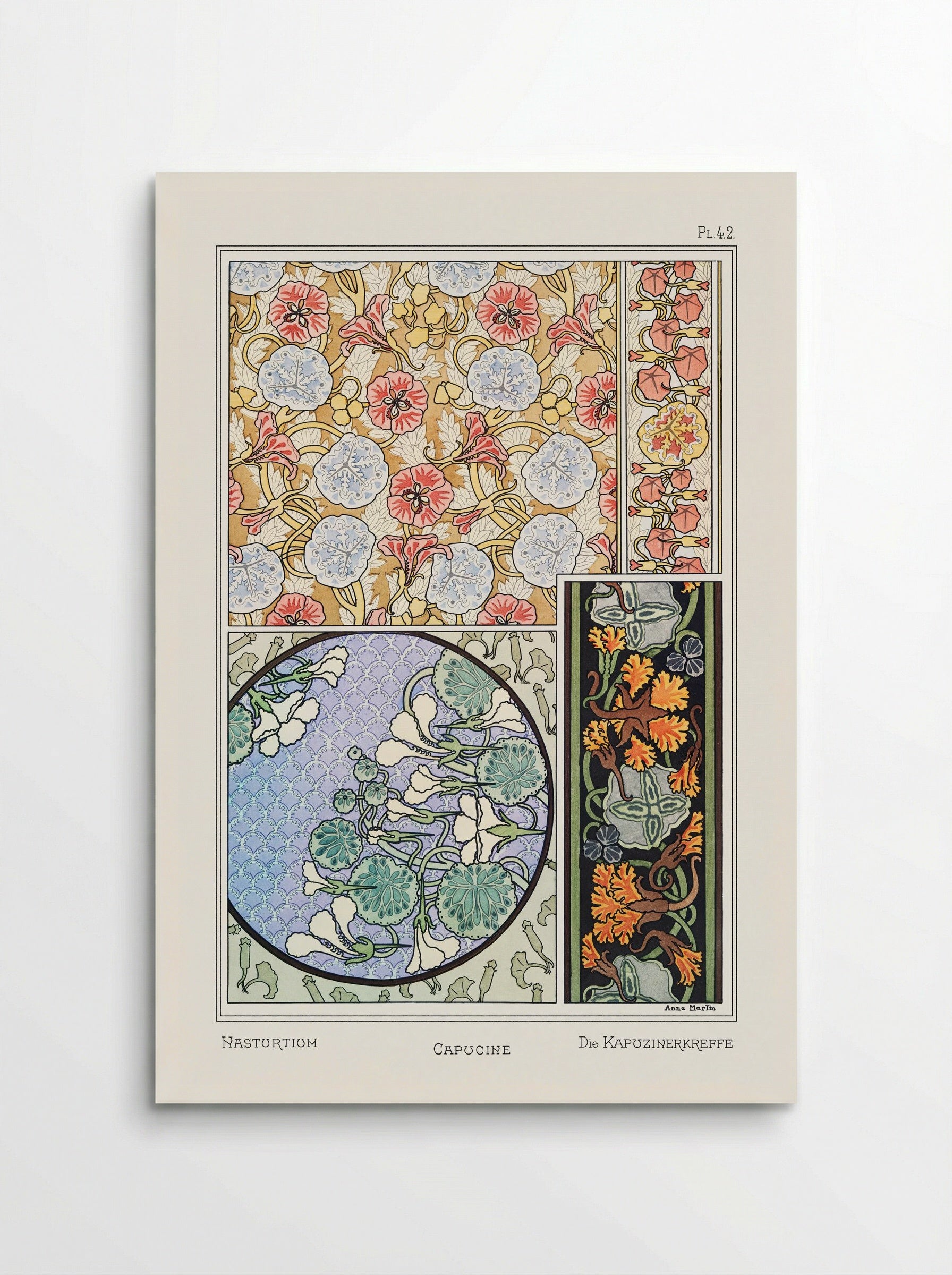 Capucine (Nasturtium) from La Plante et ses Applications ornementales - Maurice Pillard Verneuil - Poster