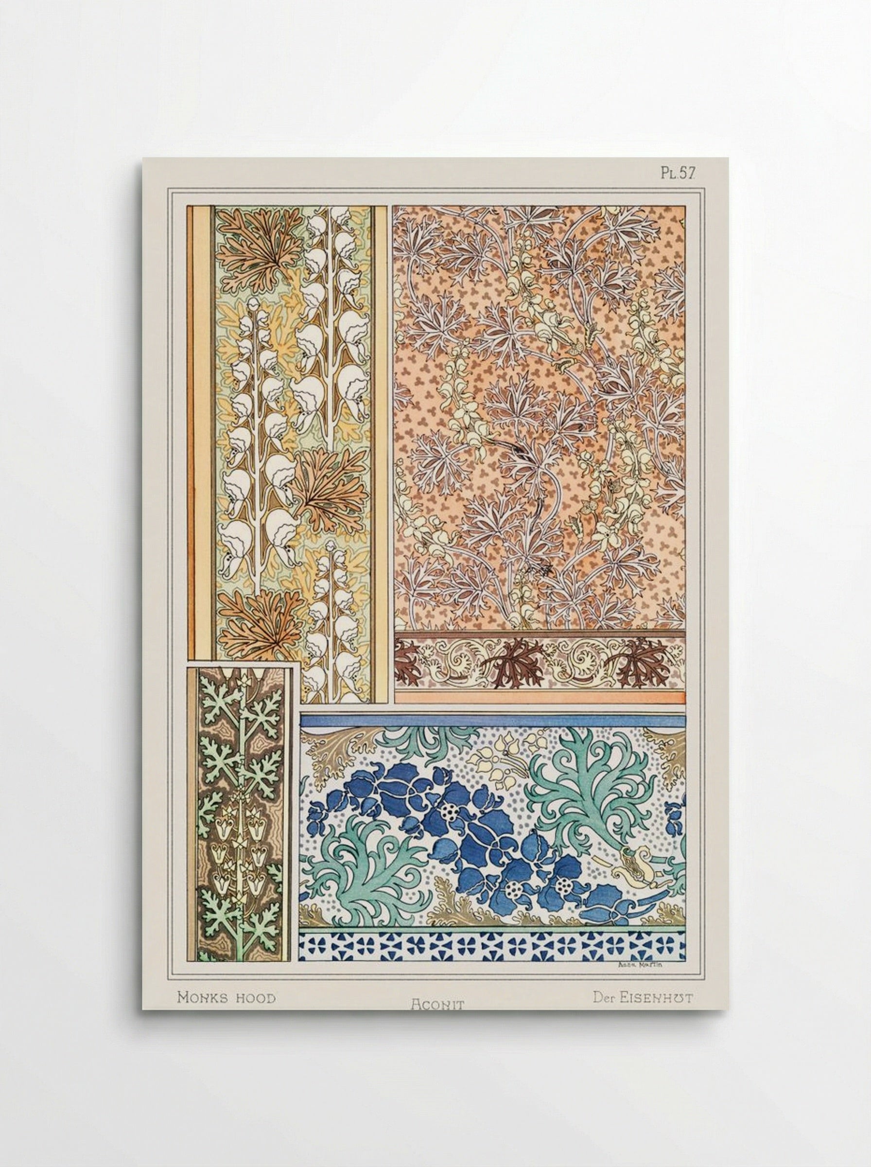 Aconite (Monkshood) from La Plante et ses Applications ornementales - Maurice Pillard Verneuil - Poster