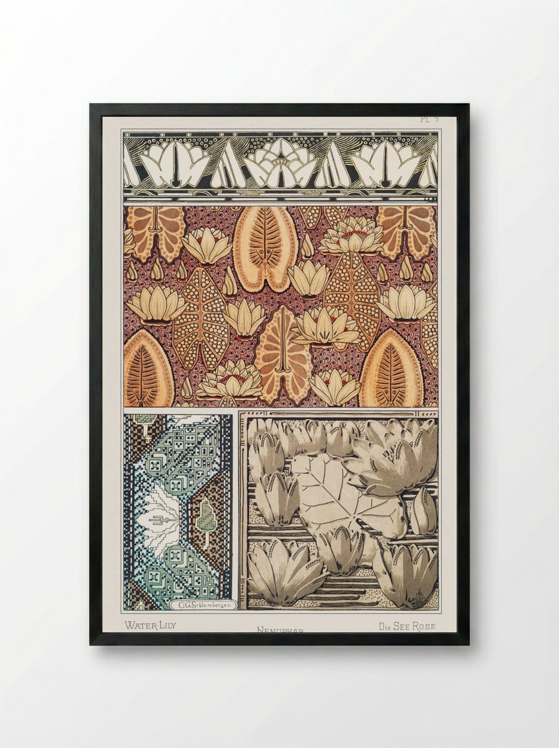 Nénuphar (Water Lilies) from La Plante et ses Applications ornementales - Maurice Pillard Verneuil - Framed Print Black