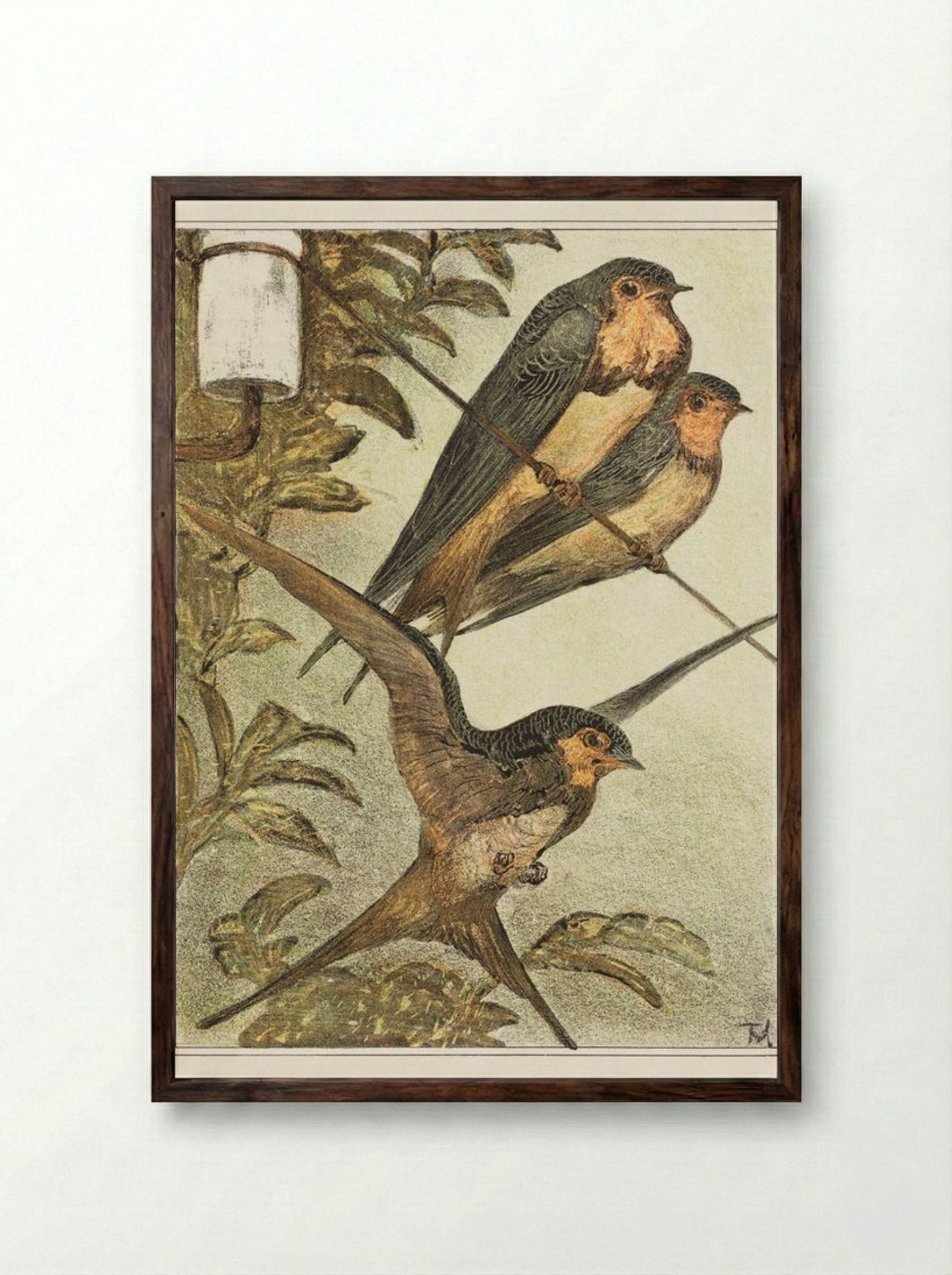 Drie zwaluwen (Three Swallows) - Theo van Hoytema - Framed Print Dark Wood