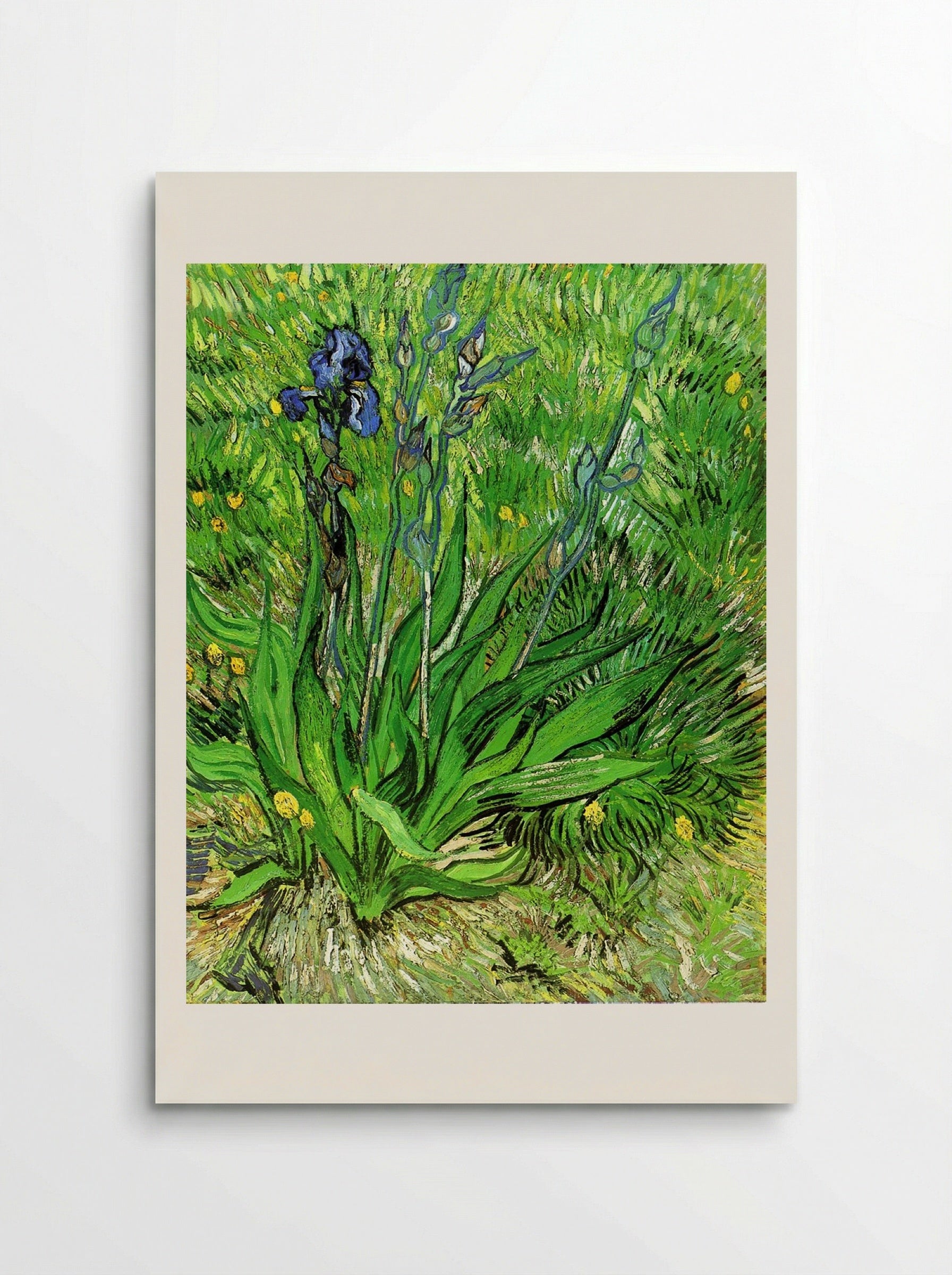 Irises - Vincent van Gogh - Poster