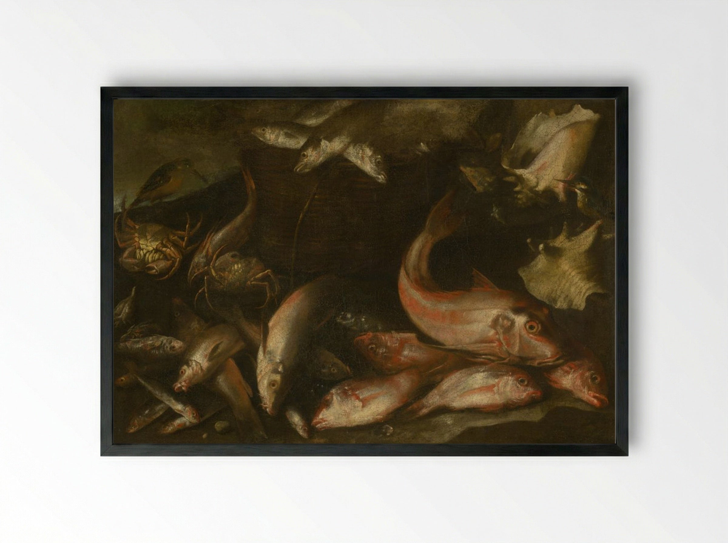 Still Life with Fish, Crabs, and Shells - Fine Art Print - Framed Print Black