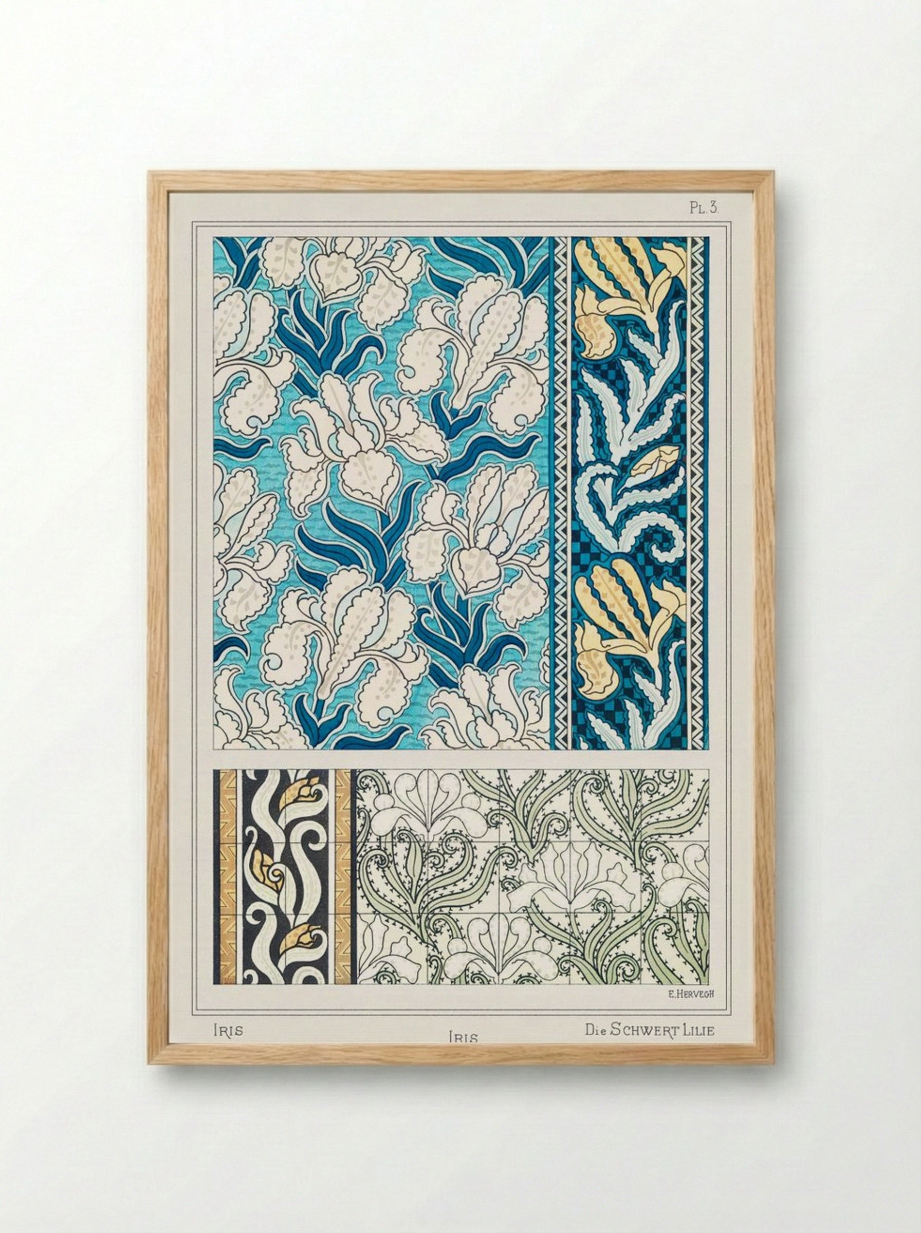 Iris, from La Plante et ses Applications ornementales - Maurice Pillard Verneuil - Framed Print Wood