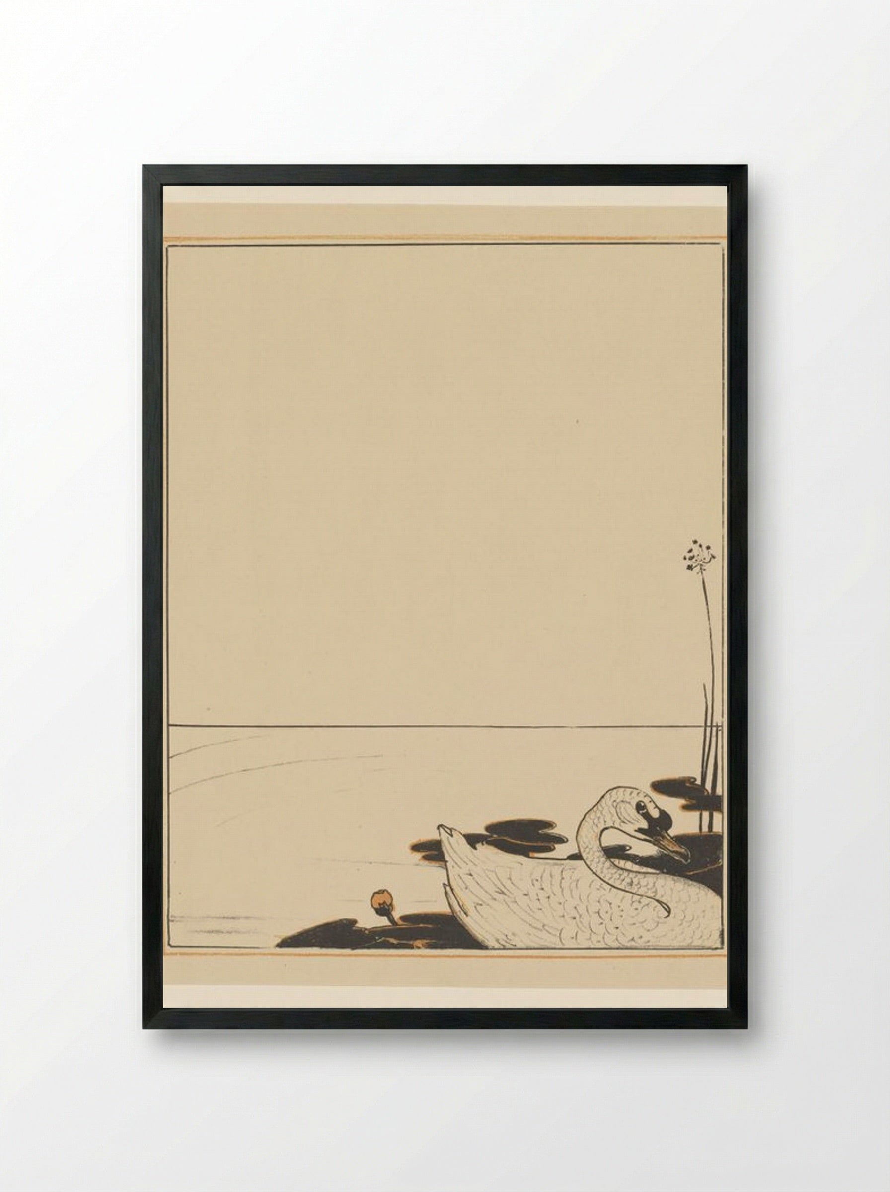 Swimming Swan - Theo van Hoytema - Framed Print Black