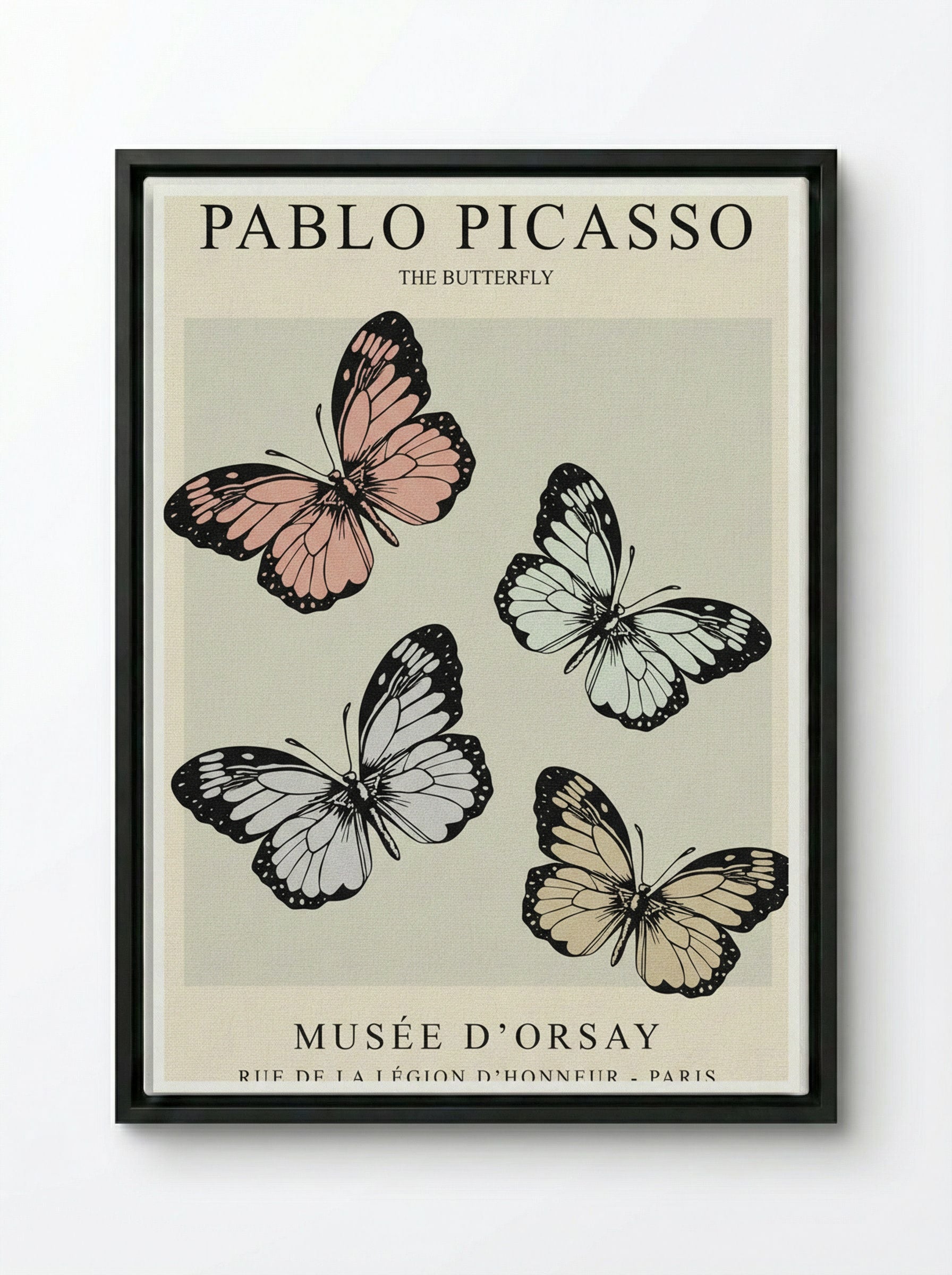 The Butterfly - Pablo Picasso