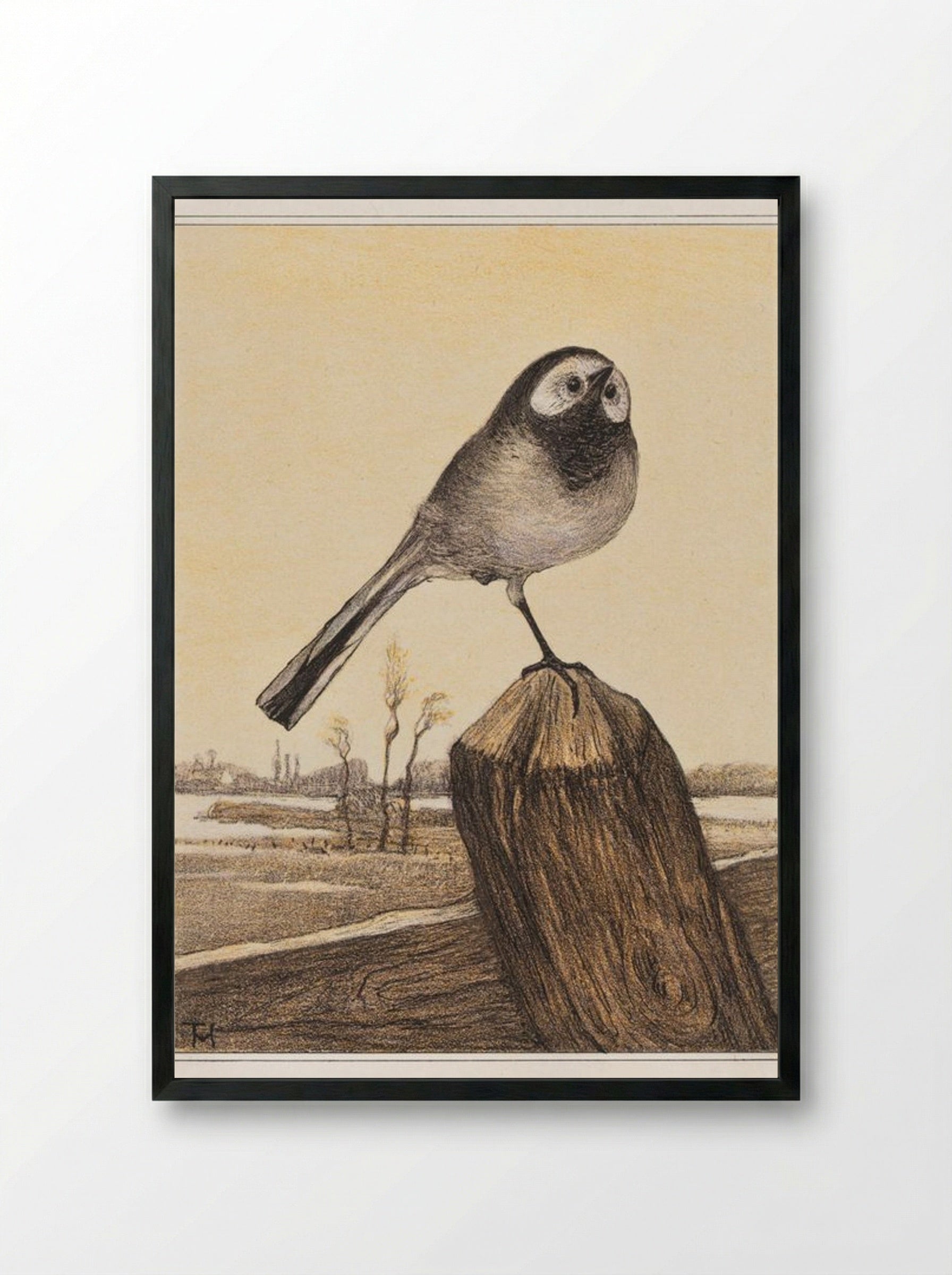 Kwikstaart op paal (Wagtail on a Post) - Theo van Hoytema - Framed Print Black