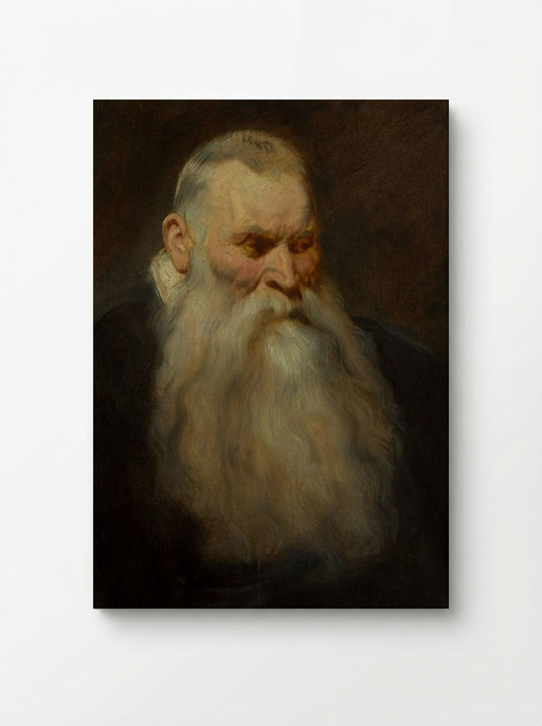 Study: Head of an Old Man with a White Beard - Anthony van Dyck - Canvas