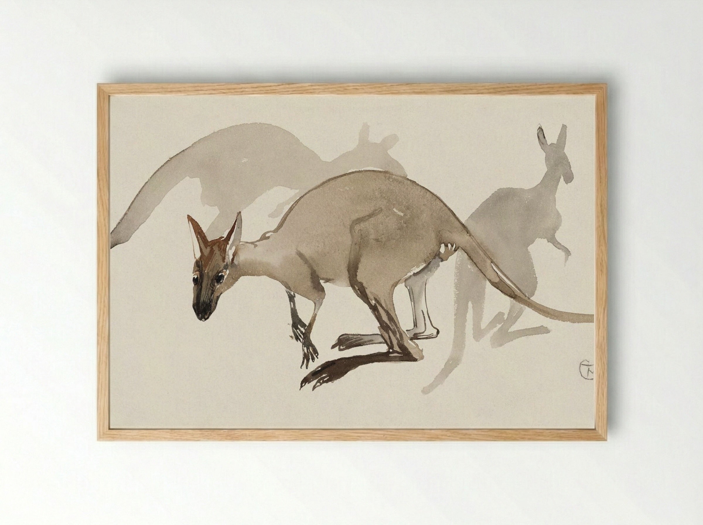 Kangaroos - Theo van Hoytema - Framed Print Wood