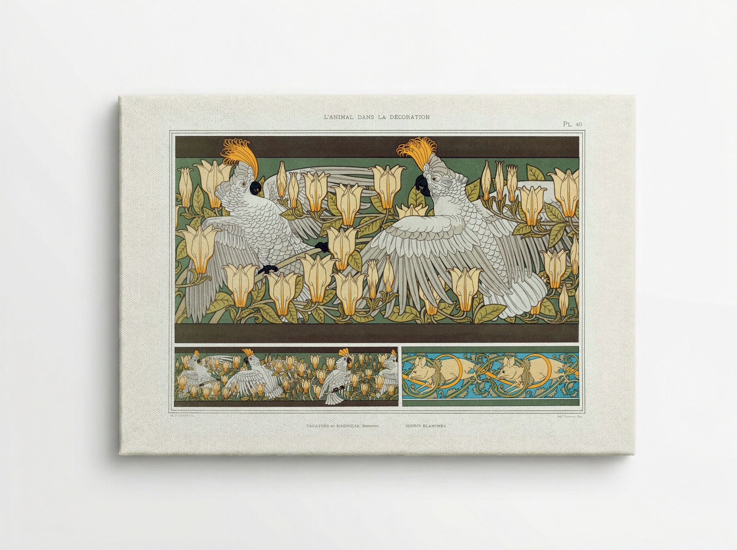 Cacatoès et Magnolia, Bordure; Souris Blanches - Maurice Pillard Verneuil - Canvas