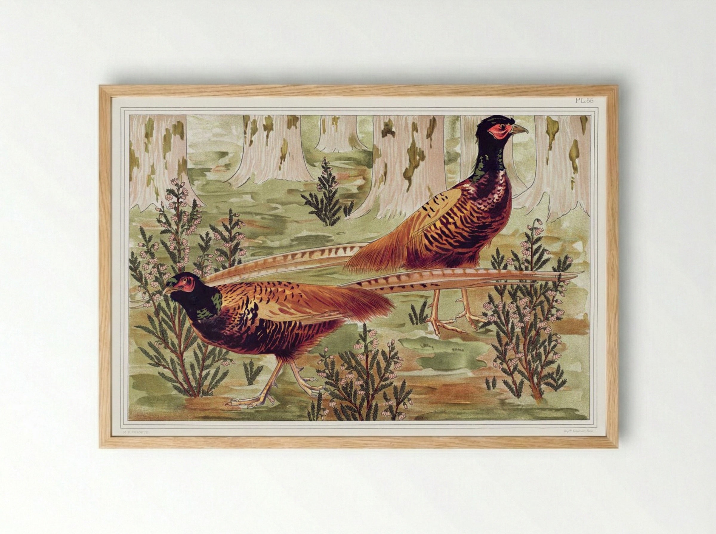 Faisans Ordinaires (Common Pheasants) - Maurice Pillard Verneuil - Framed Print Wood