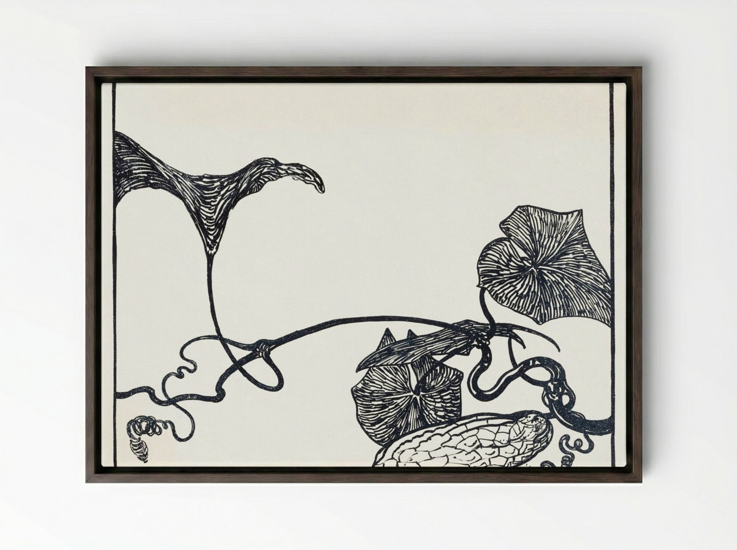 Augurkenplant (Cucumber Plant) - Theo van Hoytema - Framed Canvas Dark Wood