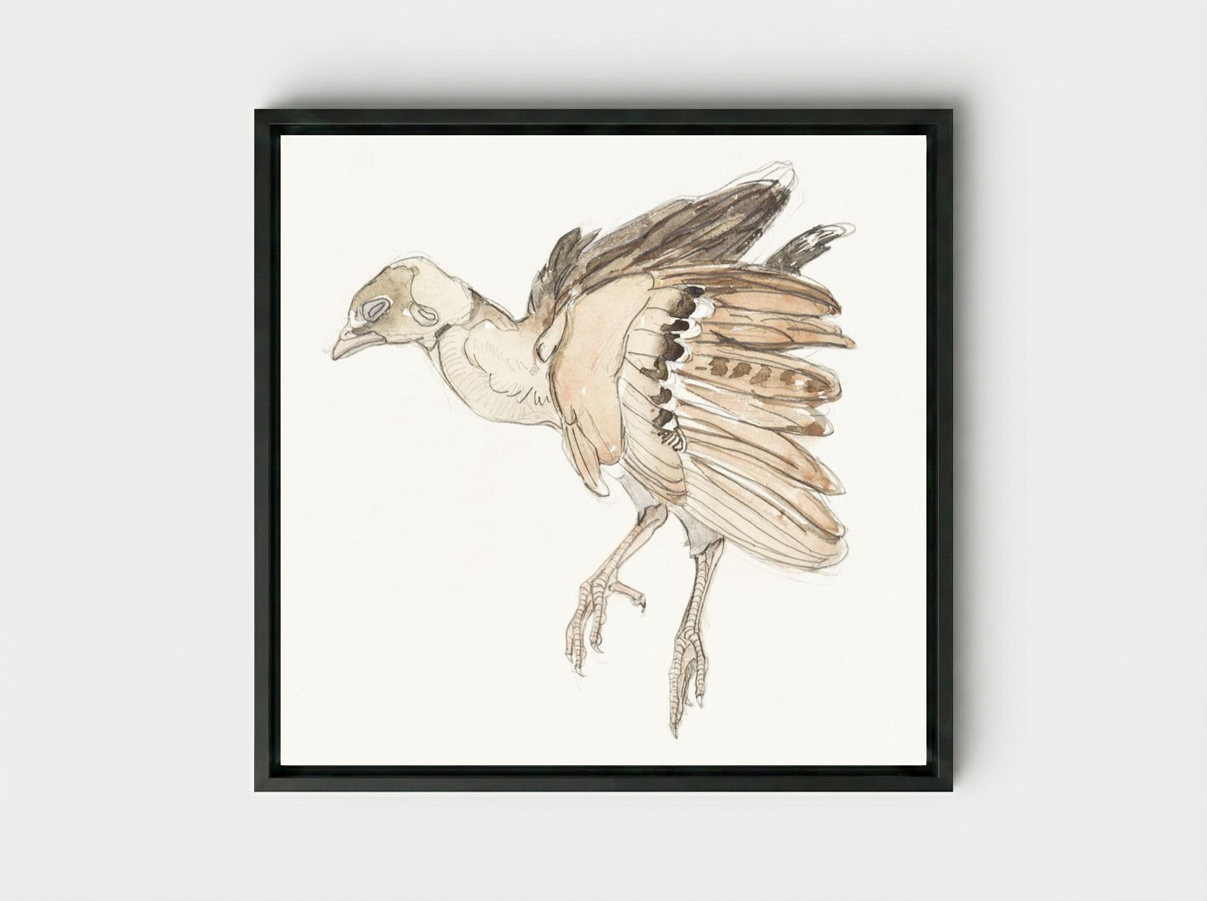 Dood vogeltje (Patrijs) - Theo van Hoytema - Framed Canvas Black