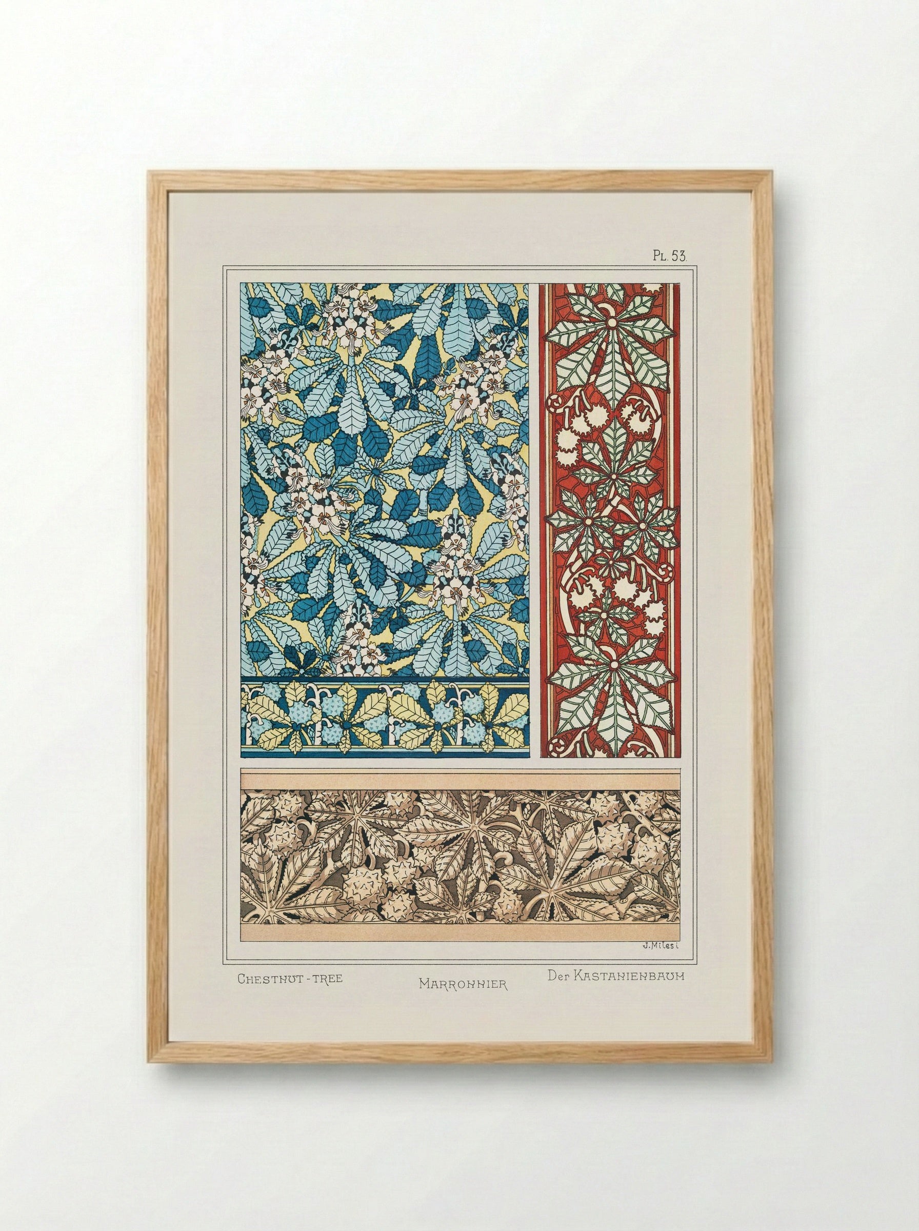 Marronnier (Chestnut Tree) from La Plante et ses Applications ornementales - Maurice Pillard Verneuil - Framed Print Wood