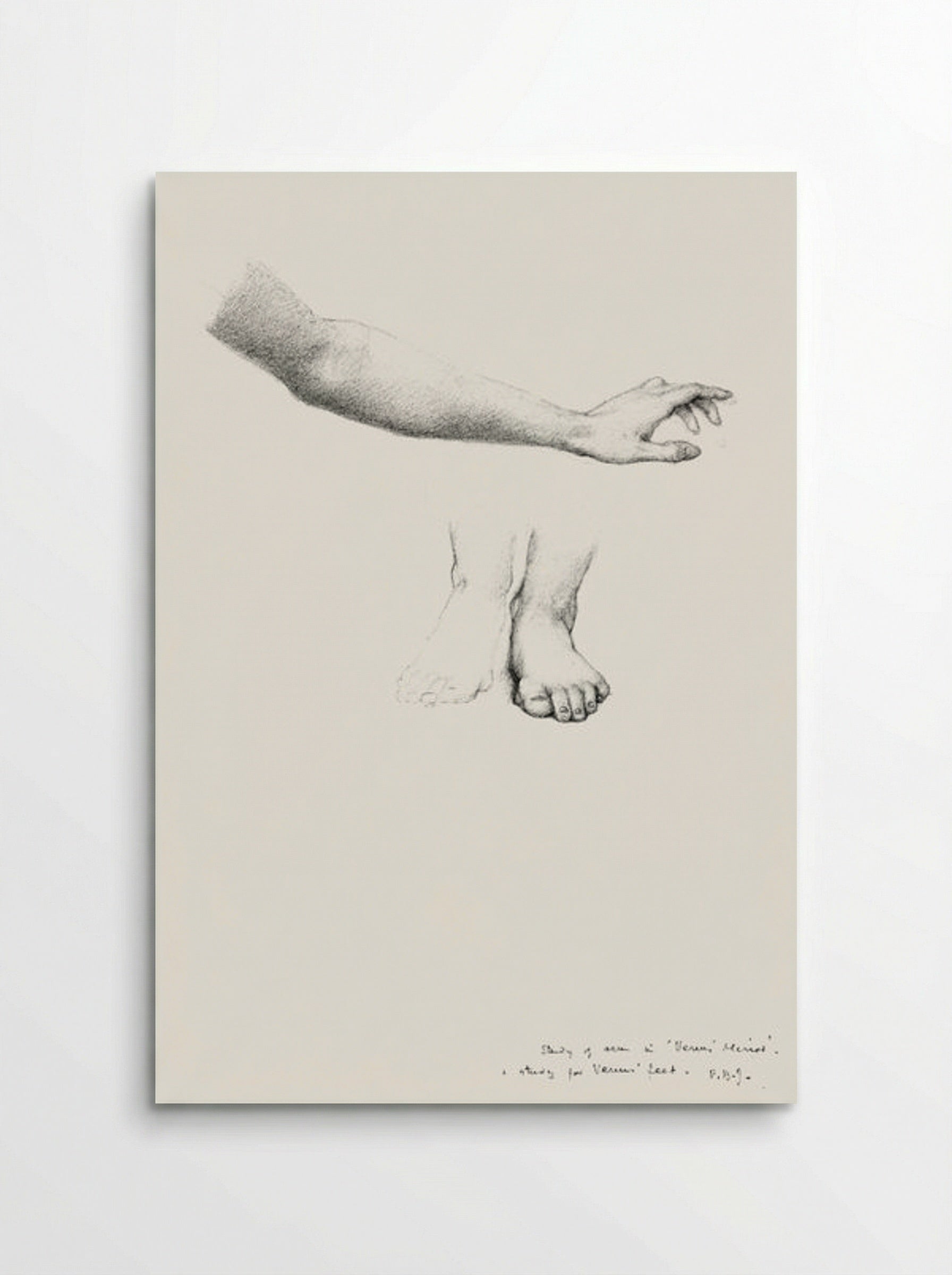 Study of Arm and Feet for 'The Mirror of Venus' - Edward Burne-Jones - Poster