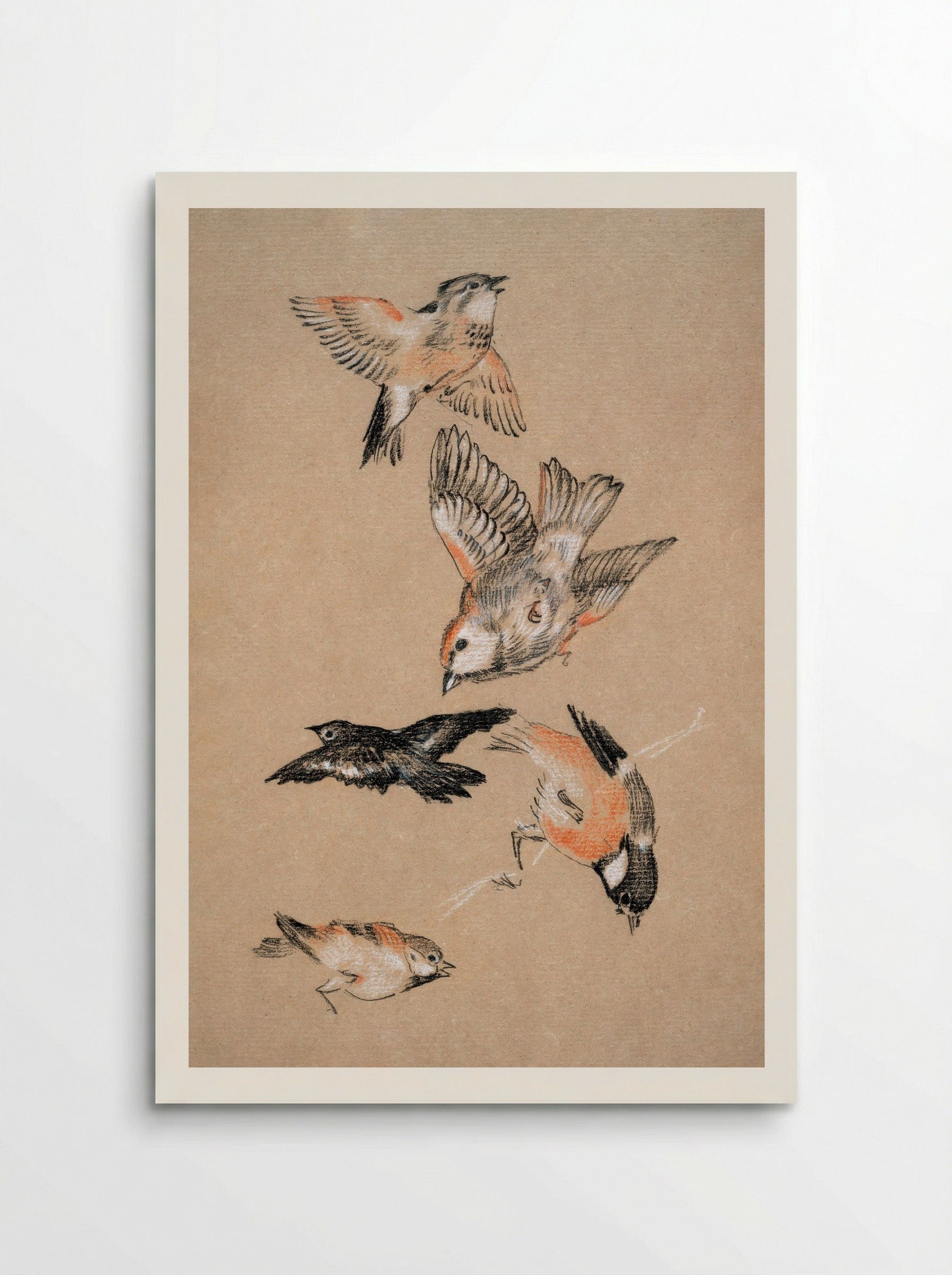 Study of Finches (for 'Love Leading the Pilgrim') - Edward Burne-Jones - Poster