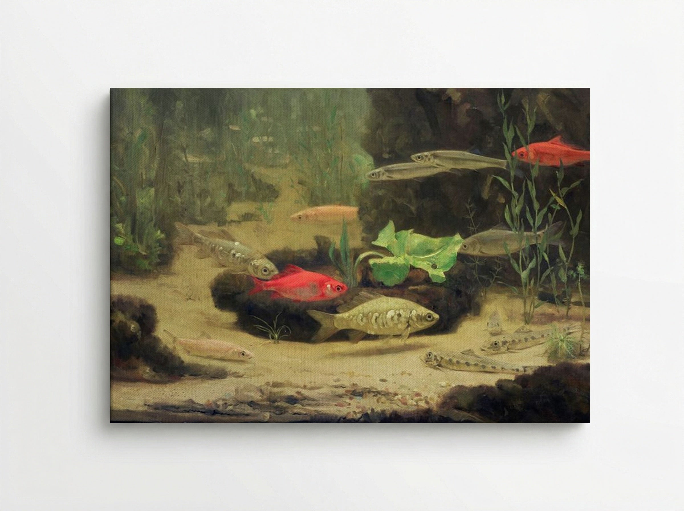 Gold and Silverfish in an Aquarium - Gerrit Willem Dijsselhof - Canvas